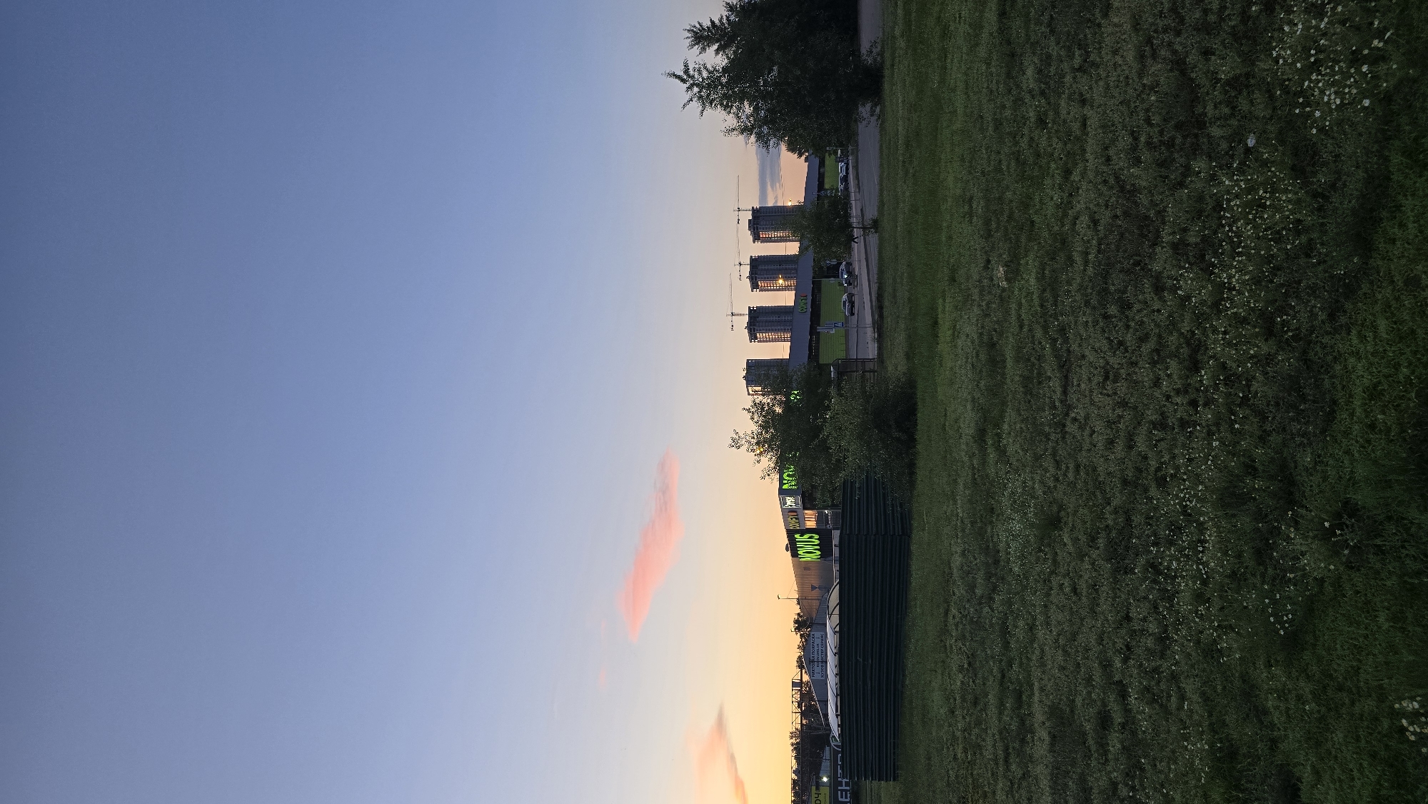 The image captures a wide shot of a suburban landscape at dusk in Kyiv, Ukraine. In the foreground, a vast expanse of green grass dotted with small white wildflowers stretches across the frame. A dark green metal fence runs along the left and mid-ground, partially obscuring a covered area with multiple arched structures. Behind the fence, a low-rise building with prominent green signage reads "NOVUS" in illuminated neon letters.
In the background, four tall, unfinished residential buildings under construction are silhouetted against the pale, twilight sky. Construction cranes are visible atop these buildings. The sky transitions from a soft orange and pink hue near the horizon, where a wispy, pink cloud is visible, to a pale blue overhead. Several trees are scattered throughout the scene, with dense foliage on the right side of the frame. A few cars are present on a road in front of the Novus building, and a single pedestrian can be seen walking on the sidewalk. The overall impression is one of an urban periphery at the end of the day, with ongoing development.