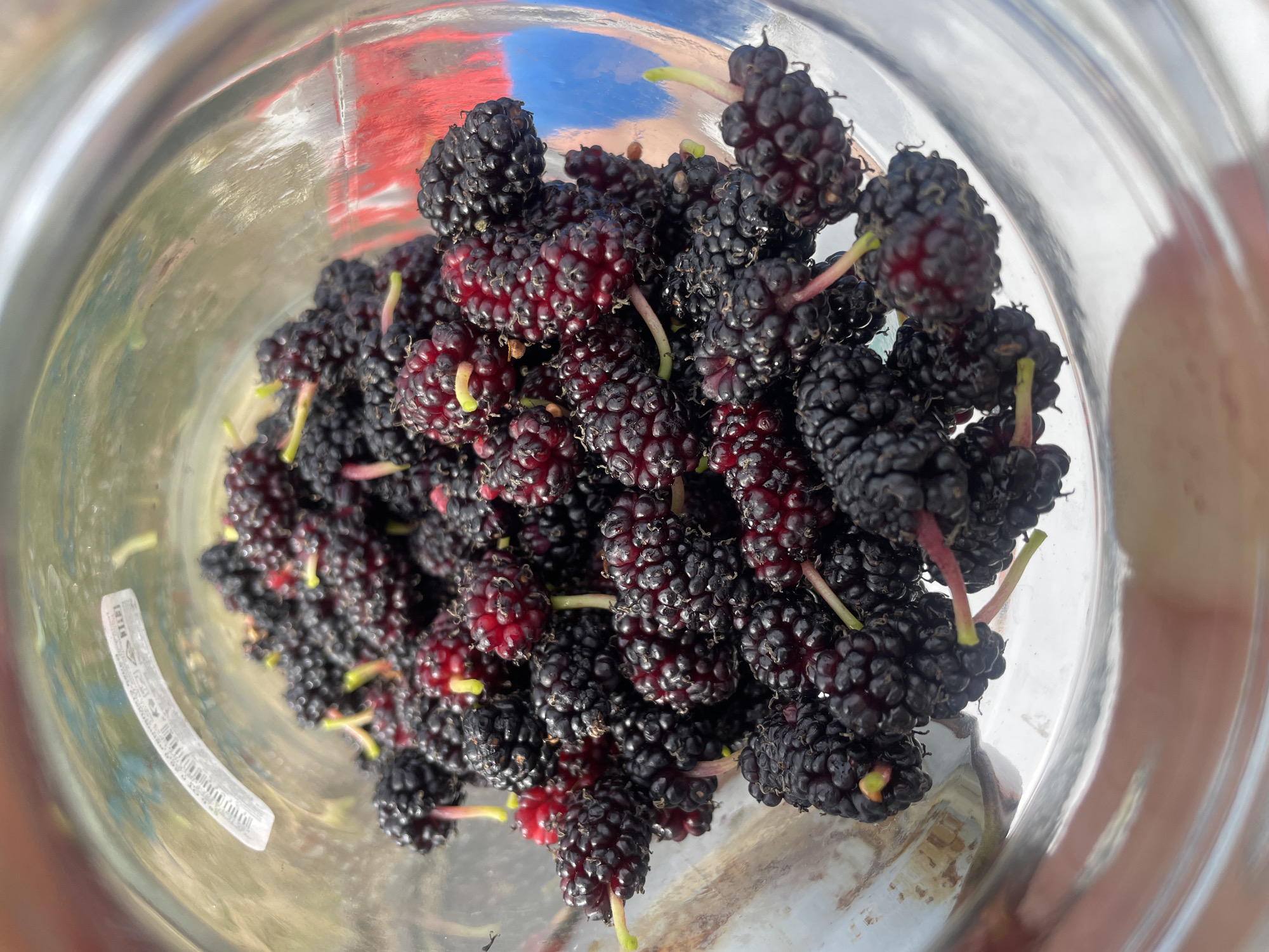 A top-down, close-up shot shows a clear glass jar filled with ripe black mulberries. The mulberries are dark purple to black, with some appearing lighter red, and each has a thin, pale green stem. The inside of the jar is visible, and the texture of the mulberries is bumpy and segmented. In the background, through the glass, there are out-of-focus shapes and colors, including a hint of red and blue, suggesting an outdoor environment or other objects in proximity. A small, curved white sticker with text is visible on the inside surface of the glass jar, near the top left. The lighting suggests a bright, possibly sunny day. There are no people or animals visible. The location in Baranovka, Russia, is not discernible from the image itself; this is an external piece of information.
