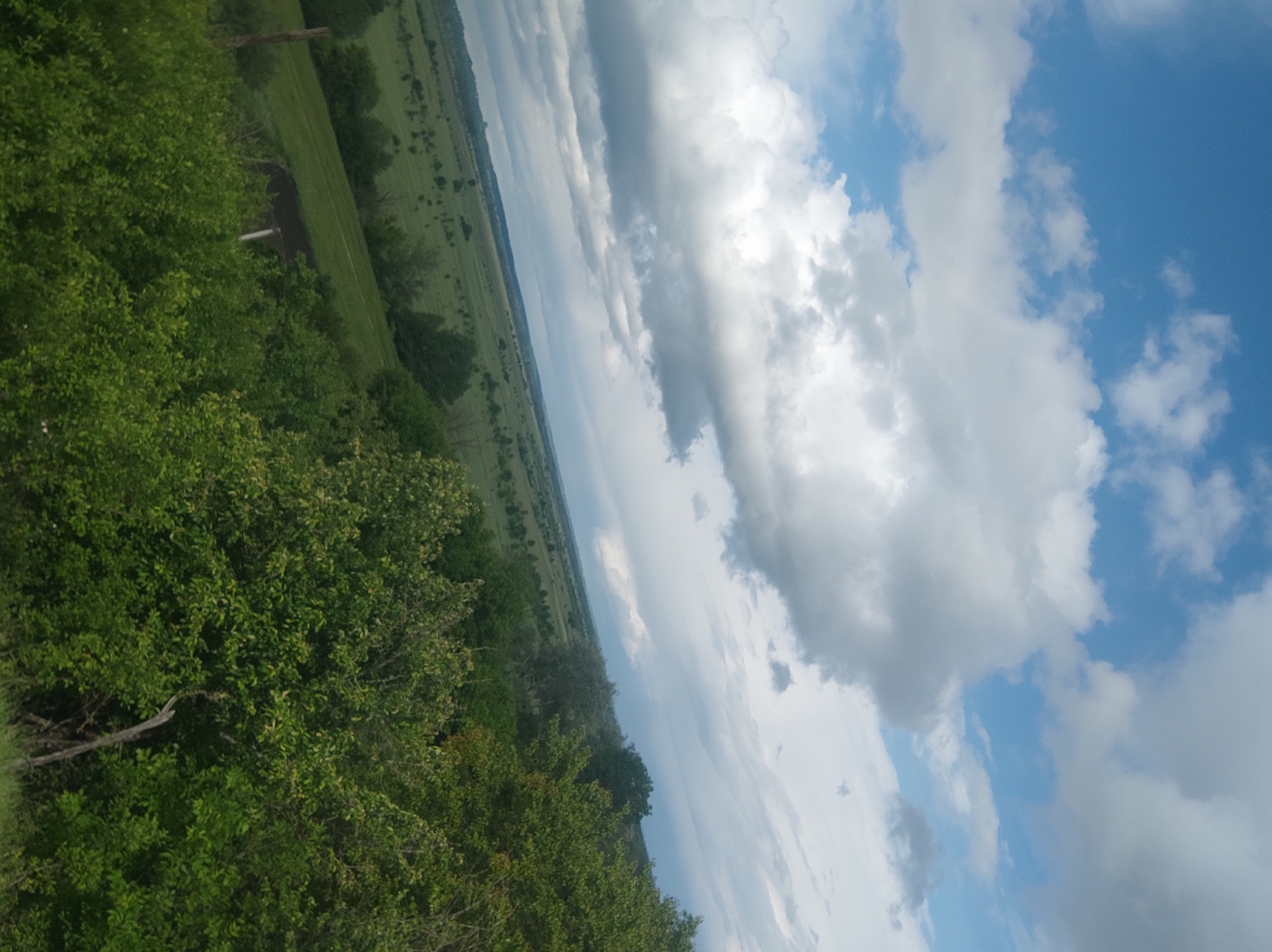 The image presents an outdoor scene with a landscape view from an elevated position. In the foreground, there's dense green vegetation, likely trees and bushes. Beyond the immediate foreground, an expansive, mostly flat grassy area stretches into the distance. The sky occupies a significant portion of the image, filled with a mix of white and gray clouds against a blue backdrop. The image seems to be taken at an angle, as the horizon line is not level. The absence of distinct urban features or structures suggests a rural or semi-rural location. The specific city and state are unknown.