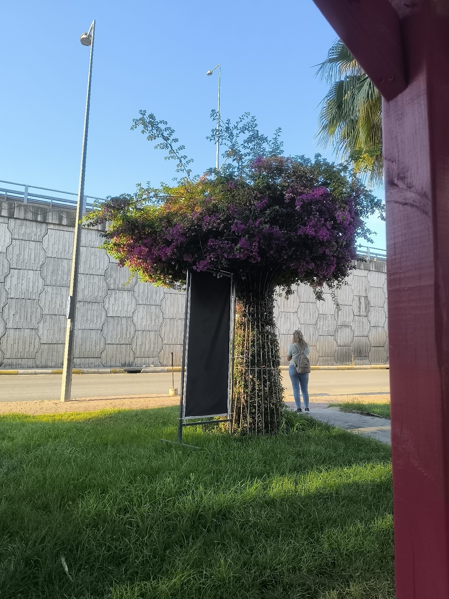 An outdoor, eye-level, wide shot captures a woman standing on a sidewalk next to a flowering tree sculpture. The woman is facing away from the camera, wearing a light-colored t-shirt, blue jeans, and a light-colored backpack. She is looking at a tall, black rectangular sign positioned in front of the tree sculpture. The tree sculpture is intricately designed, with a caged trunk covered in foliage and topped with abundant purple flowers. Behind the sculpture and sidewalk is a road with a concrete barrier wall running parallel to it, featuring a repetitive, textured pattern. A tall streetlamp is visible on the left side of the frame, and another, further away, is visible on the right. The scene is illuminated by bright daylight, casting long shadows from the grass in the foreground. A portion of a red structure is visible on the far right of the image, partially obscuring the background. The location is identified as Kepez, Turkey.