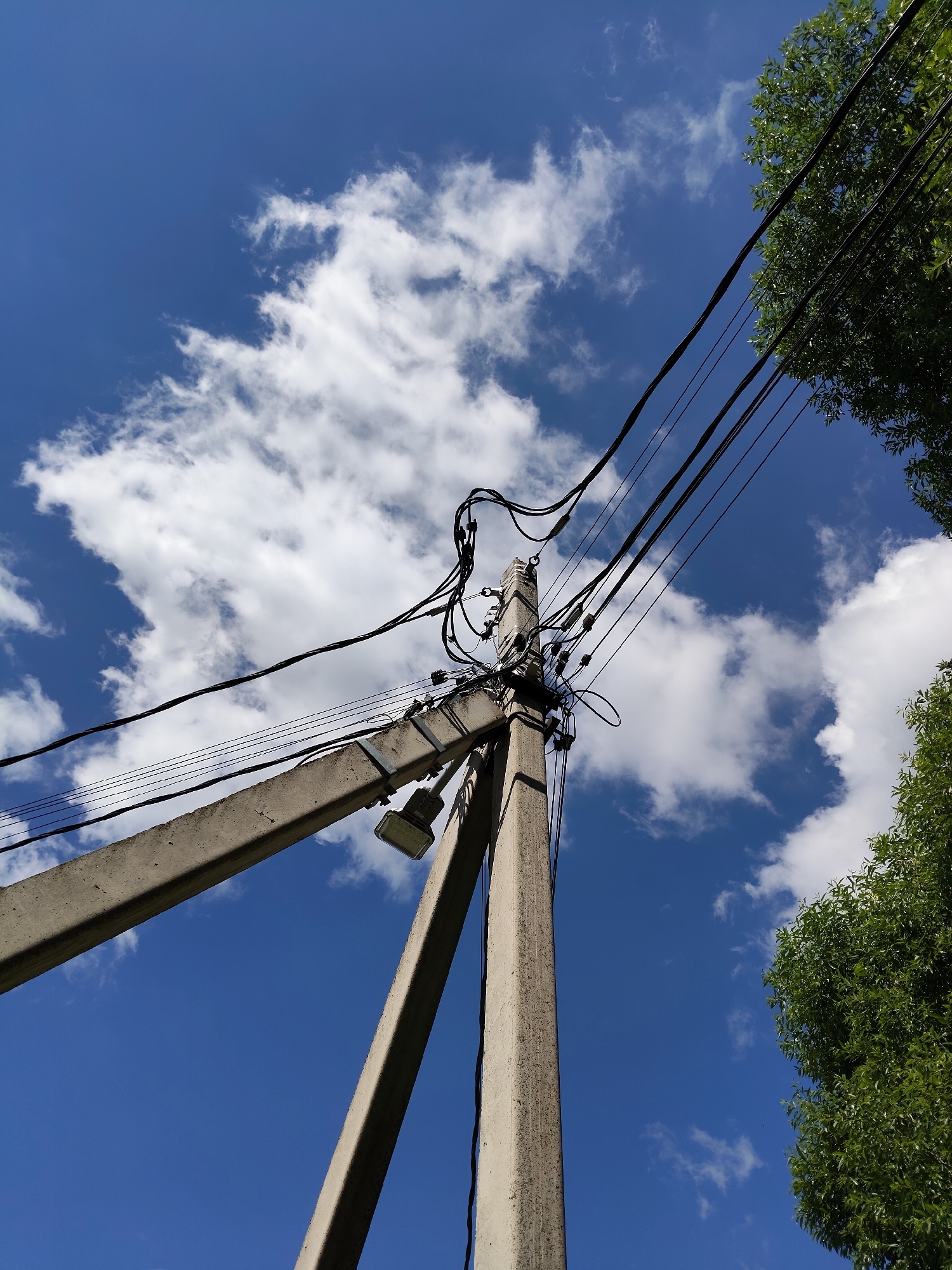 The media file captures a low-angle view of a concrete utility pole against a bright blue sky with scattered white clouds. The pole is angled upwards, supporting a complex network of black electrical wires. One of the wires has a loop, creating an unusual visual element. Attached to the pole is a modern-looking, rectangular light fixture, possibly a streetlamp. To the right and top of the frame, the lush green foliage of trees frames the scene. The bright sky and sunlight suggest it is daytime, likely a clear and pleasant day. The overall impression is one of infrastructure against a natural backdrop, with a sense of everyday urban or suburban life. There is no visible text in the image.