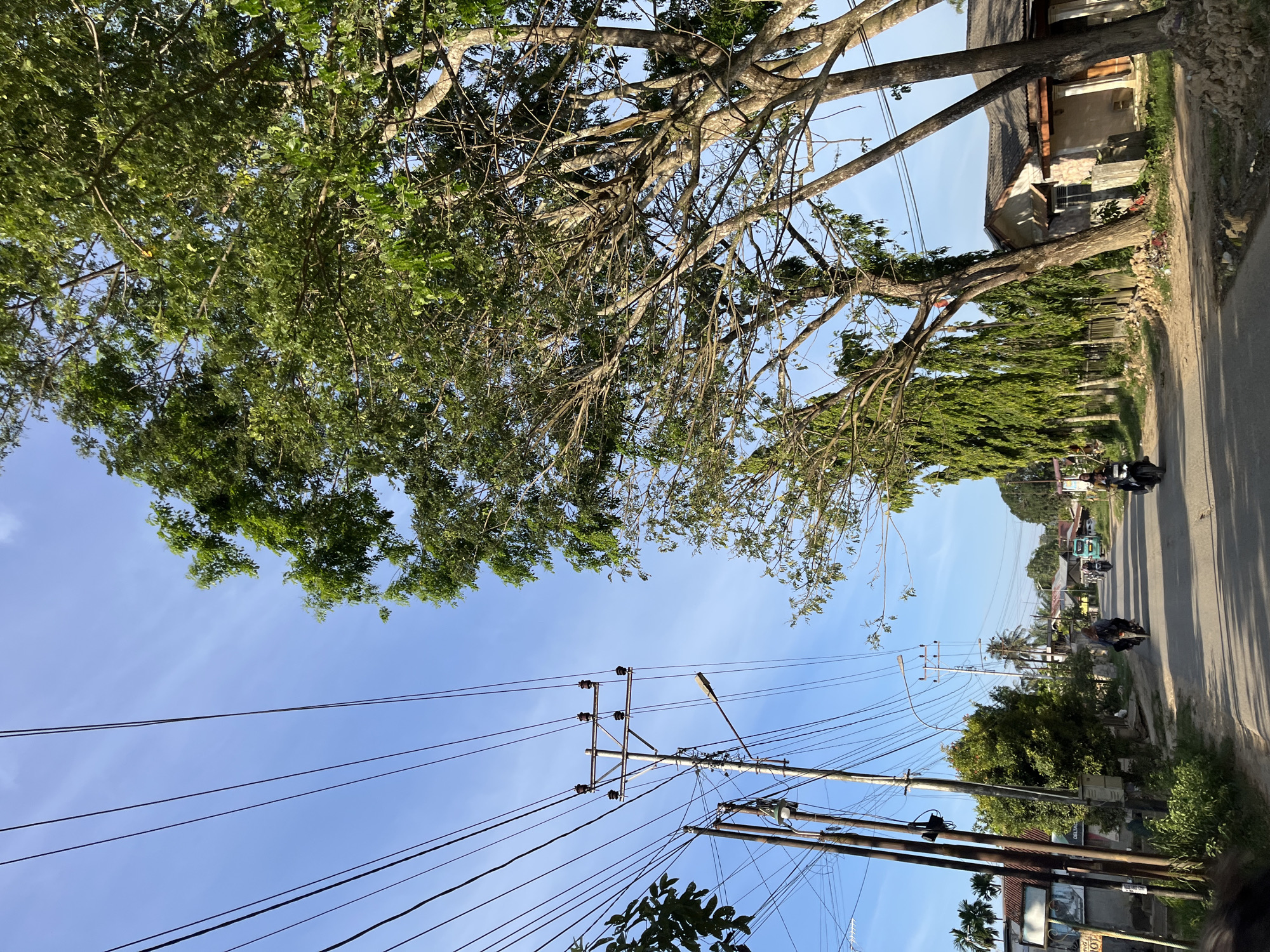 The image depicts a street scene in Alurcucur, Indonesia, under a clear blue sky. Power lines stretch across the frame, supported by utility poles. On the left side of the road, there are several poles, some with what appear to be electrical transformers and streetlights. Adjacent to these poles is a building with weathered walls and a dark roof, adorned with signage. Further down the street, more utility poles and trees line the road.
Several individuals are on motorcycles, traveling along the paved road. One motorcycle, ridden by a person wearing a blue shirt, is in the foreground on the left. Another motorcycle, with a rider in a dark shirt, is further ahead on the right. In the distance, a light blue van or bus is visible. The environment suggests a rural or suburban setting with residential buildings and abundant vegetation, including tall trees with dense foliage. The lighting indicates it is daytime, with sunlight casting shadows on the road.