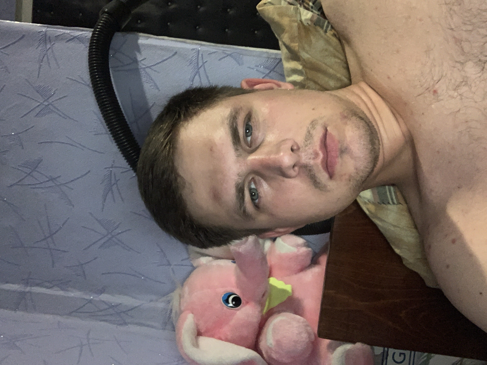 The image is a close-up selfie of a young man taken indoors. He is shirtless and positioned slightly to the right of the frame, looking directly at the camera. His facial features are prominent, with blue eyes and short brown hair. A light mustache and stubble are visible on his upper lip and chin.
To the left of the man is a pink stuffed elephant toy with large ears and blue eyes, wearing a light green bib. Behind the man and the toy is a blue patterned fabric, possibly a curtain or bedding, with a black ribbed hose or tube extending from the top right of the frame downwards. The man is resting on what appears to be a bed with beige and plaid-patterned bedding. A portion of a dark brown wooden surface, likely furniture, is visible in the lower left quadrant. The overall lighting suggests an indoor, possibly nighttime or dimly lit environment. No specific urban location or identifiable landmarks are discernible.