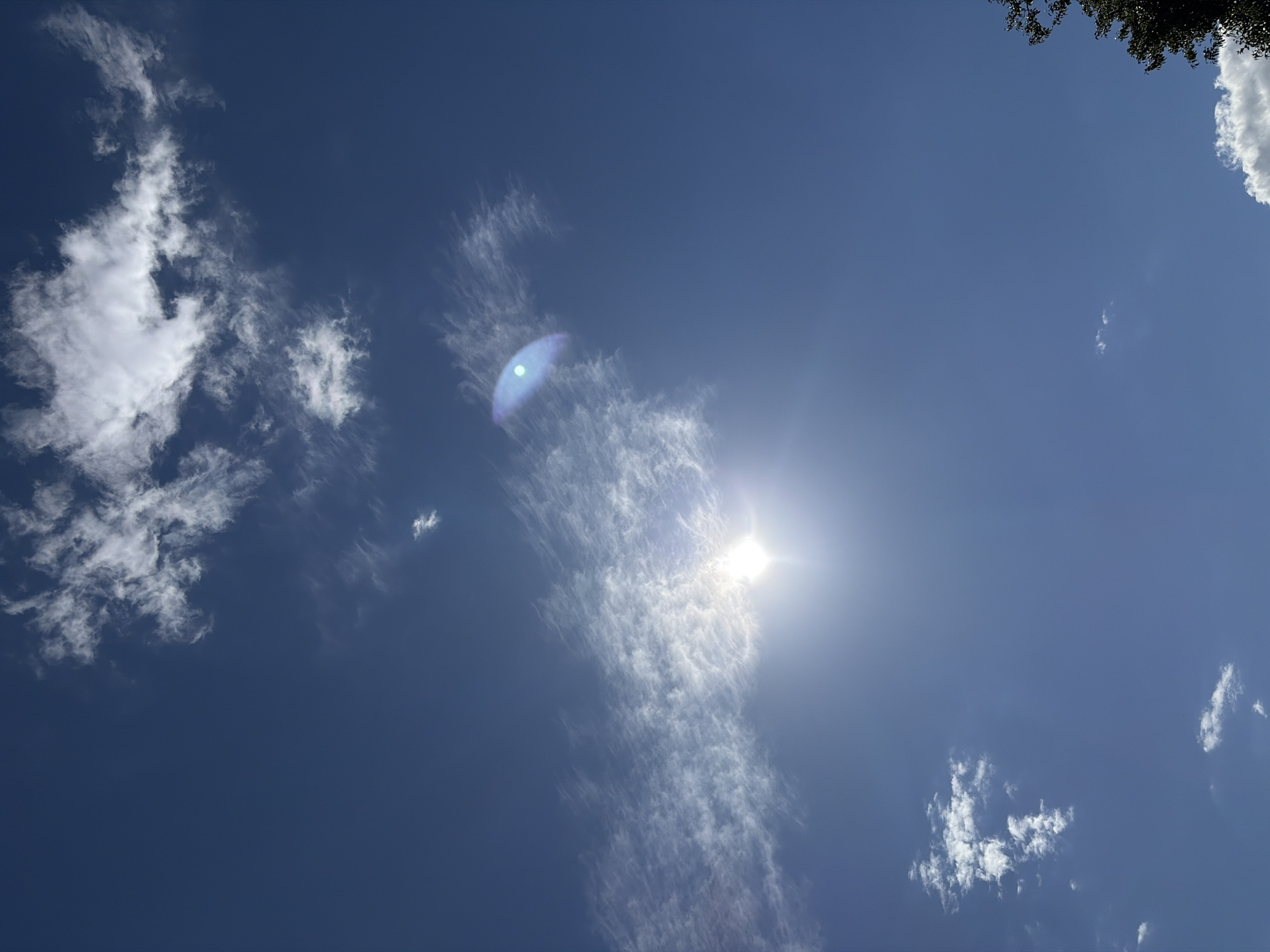 This is a vertical, eye-level, outdoor, full-shot photograph of a bright blue sky with scattered white clouds. The sun is visible in the lower left quadrant of the image, emitting a bright glare and lens flare that extends towards the center. Several wispy clouds are spread across the sky, with larger, more dense clouds in the upper right and lower left. The image is devoid of any human subjects or specific landmarks that would indicate a precise location within Chernihiv, Ukraine. The scene captures a typical daytime sky with natural cloud formations and sunlight. A small portion of dark green foliage is visible in the lower right corner, suggesting the presence of trees or other vegetation outside the frame.
