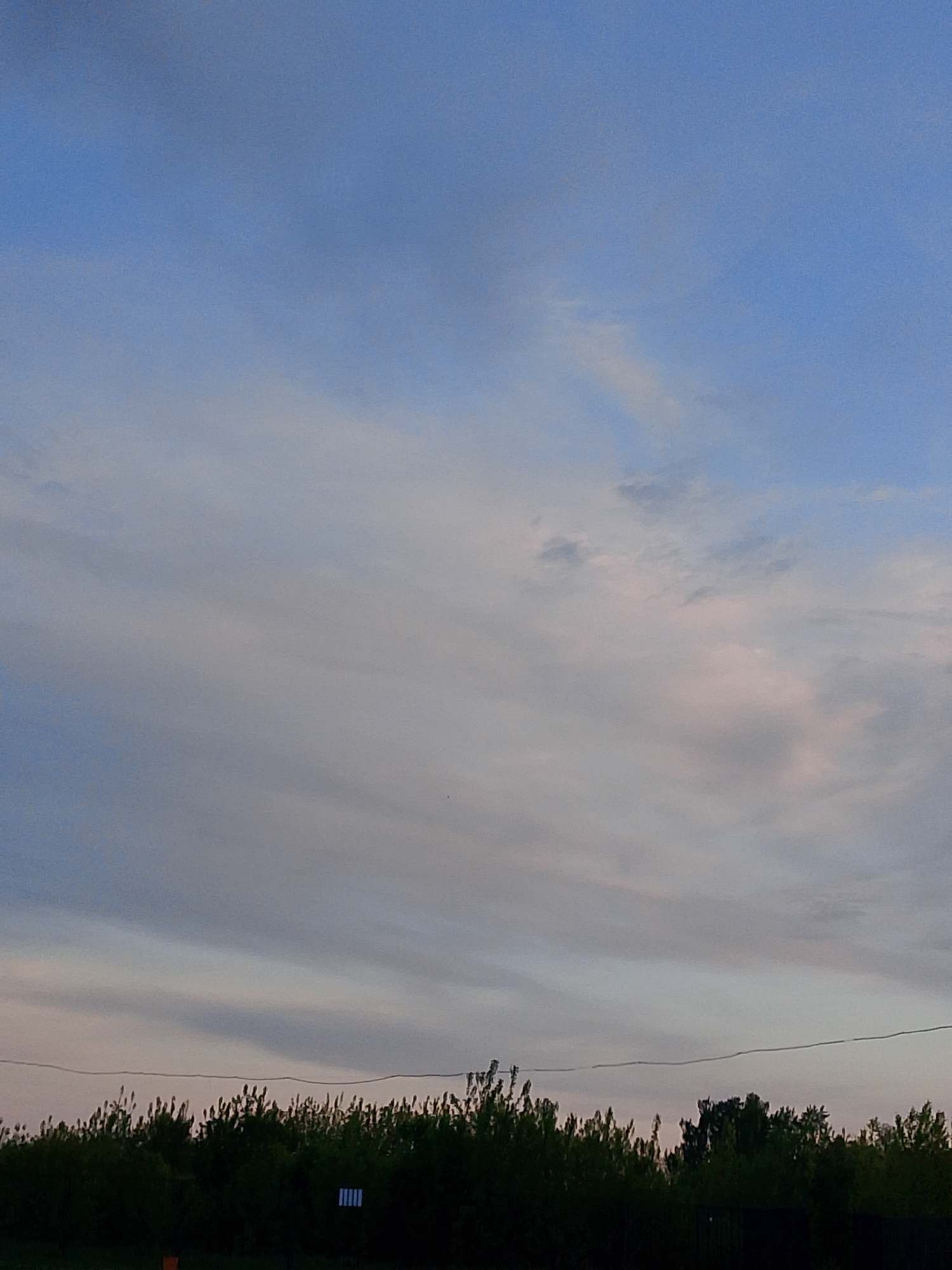 The image shows a view of the sky at dusk or dawn over what appears to be the city of Chaikovsky, Russia. The sky is predominantly blue at the top, fading to lighter blue, gray, and hints of pink lower down, with streaky cloud formations. A dark line of trees and bushes stretches along the lower part of the image, suggesting a park, woodland, or possibly the edge of a residential area. An electrical wire is visible stretching across the scene just above the treeline.
