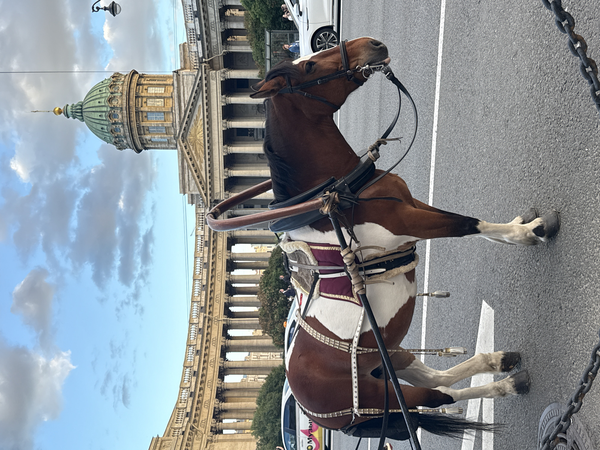 A brown and white piebald horse is shown in profile, facing right, wearing a harness and a decorative saddle pad. The horse is standing on a paved street with white lane markings. In the background, a large, ornate building with a green dome and a colonnade is visible. This building is Kazan Cathedral, located in Saint Petersburg, Russia, on Nevsky Prospekt. The sky above is partly cloudy with a mix of blue sky and grey clouds. Several cars, including a white one with a colorful advertisement on its side, are parked or driving on the street. A few people are visible in the distance, standing on the sidewalk or near the cars. A black metal chain is in the foreground, possibly part of a barrier.