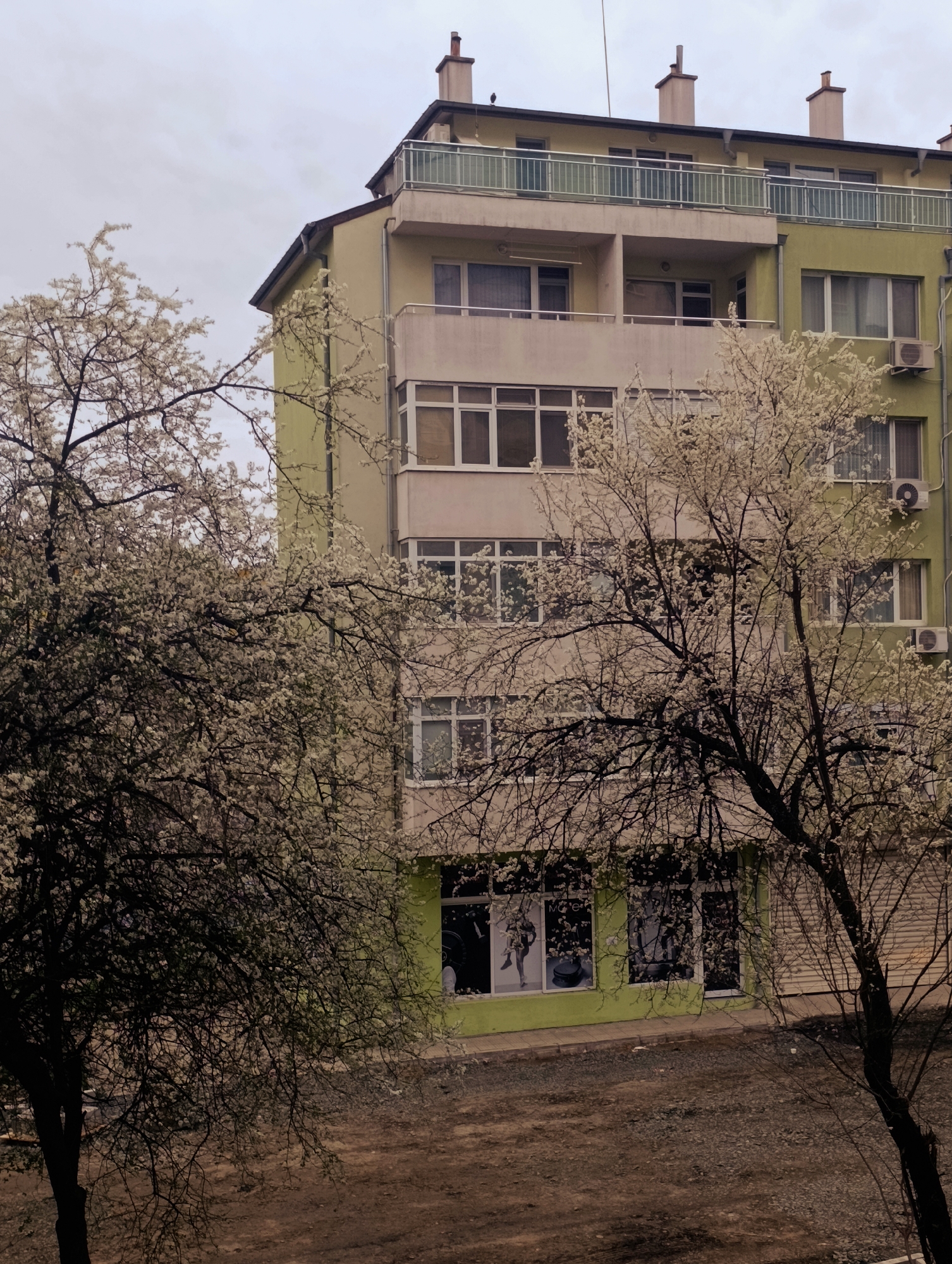 The image shows a multi-story building in Kardzhali, Bulgaria, with trees in bloom partially obscuring the view. The building's facade is painted in shades of light green and beige. There are multiple windows, some with visible curtains, and air conditioning units mounted on the exterior walls. Balconies with railings are present on the upper floors. Chimneys are visible on the roof. Two trees with white blossoms are in the foreground, partially blocking the view of the building's lower floors. The ground appears to be gravel or dirt. The sky is overcast. The ground-level windows reveal posters behind them.