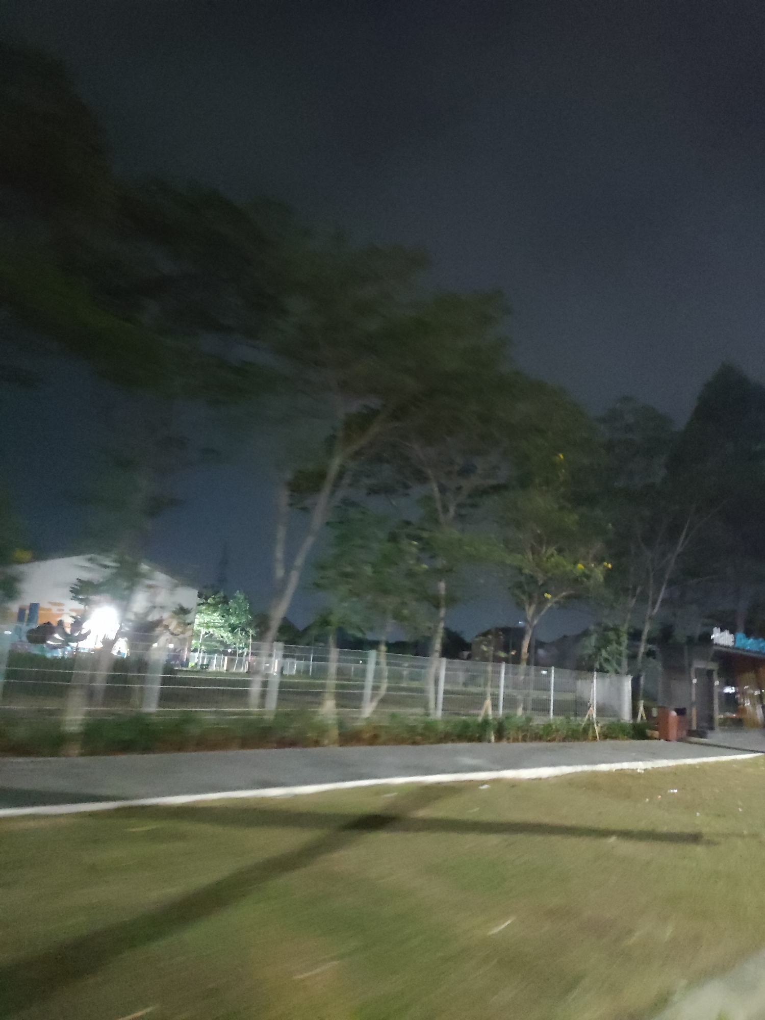 The image depicts a nighttime scene in Telagamurni, Indonesia, with a focus on a street-facing building and surrounding vegetation. In the foreground, a grassy area is visible, with a paved pathway and a line of trees. Beyond the trees, a white building with colorful graffiti on its exterior is illuminated by artificial lights. A metal fence separates the building from the street. The sky is dark, suggesting it is late at night. The overall impression is of an urban environment at rest, with the building and its artwork serving as a focal point amidst the natural elements.