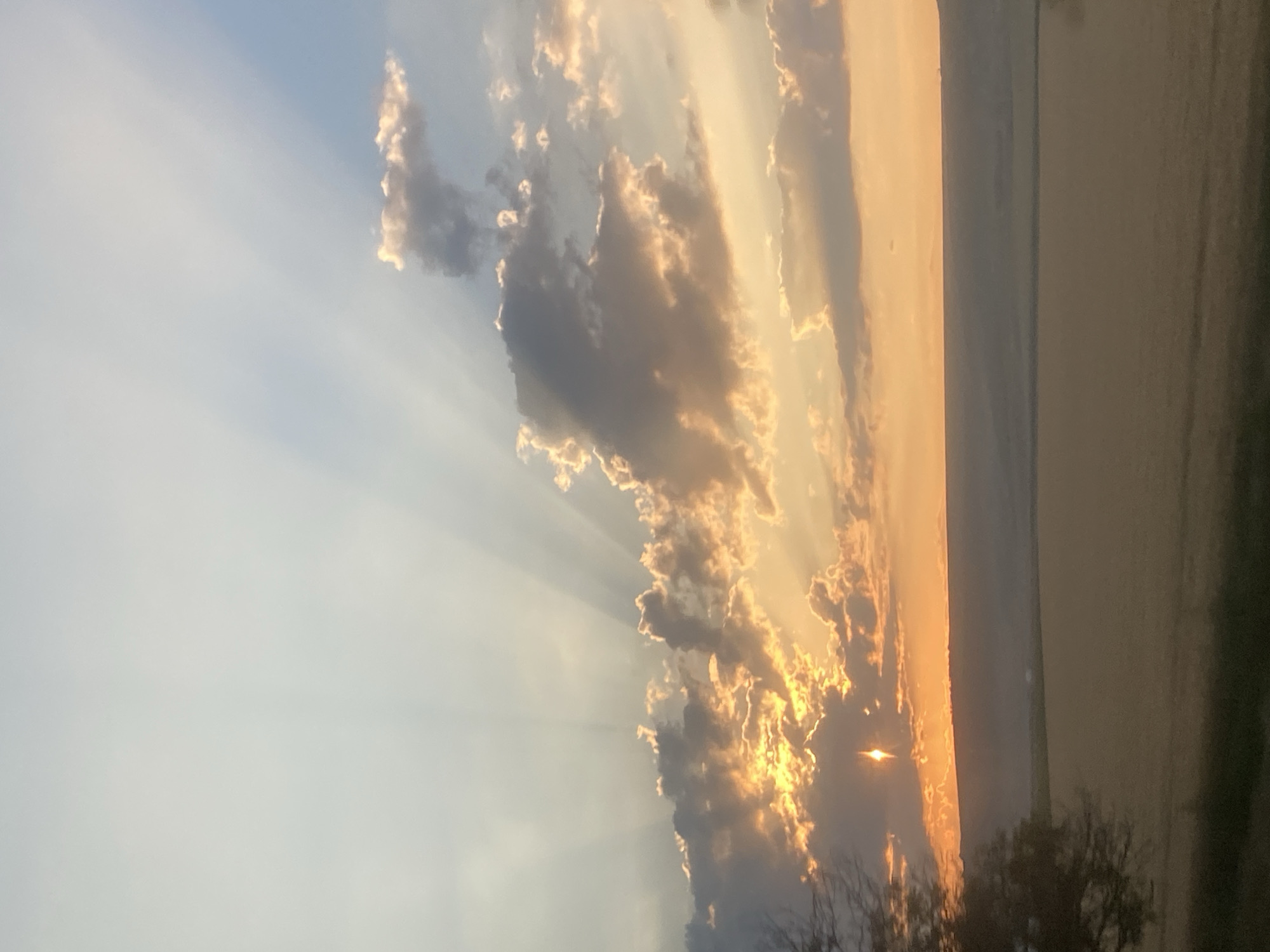 A vertical, full shot captures a sunset in Congaz, Moldova. The sky is filled with dramatic sunbeams radiating from behind clouds, which are illuminated with the warm hues of orange and yellow. The sun itself is a bright, starburst shape peeking through a gap in the clouds near the horizon. Below the sky, a dark, hazy landscape stretches across the frame, with a hint of a field of cultivated land visible in the foreground. To the left of the frame, the silhouette of a tree with bare branches adds a stark contrast to the vibrant sky. The overall impression is one of natural beauty and the tranquil end of the day.