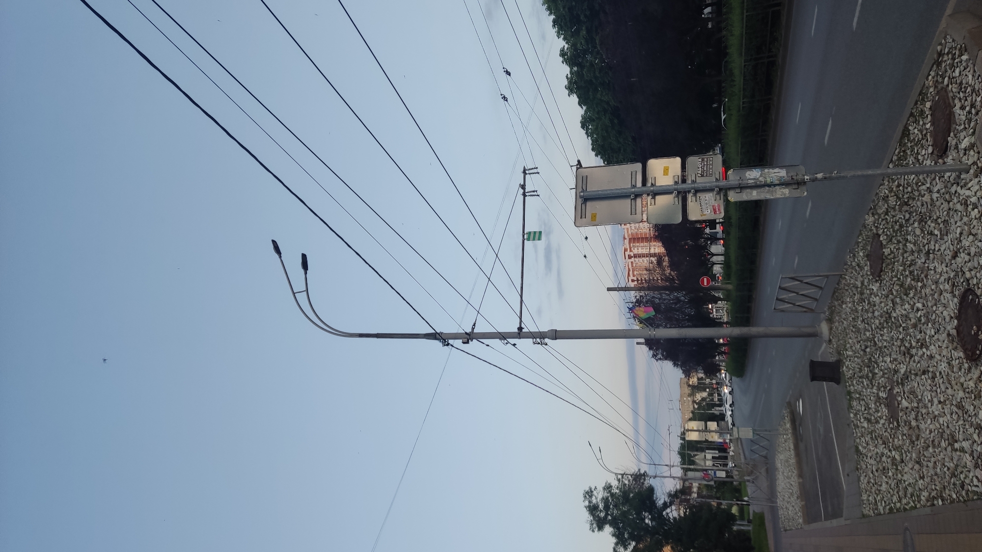 The image depicts a street scene in Krasnodar, Russia, likely during twilight. A tall, grey street lamp with two lights dominates the center of the frame, supported by numerous electrical wires crisscrossing the sky. The street itself is paved and appears to be a multi-lane road with cars visible in the distance. On the left side of the road, there is a sidewalk with a gravel-covered area and some small, dark cylindrical objects that could be trash bins. A metal fence with a diamond pattern is visible along the edge of the gravel area.
On the right side of the road, a row of trees with dark foliage lines the street, and further back, a tall, multi-story building with a red-brick facade is visible. Several traffic signs are mounted on a pole in the foreground on the right, including a rectangular sign with text and some smaller signs below it. A circular red and white "no entry" sign is visible on the roadside behind the signpost. A rainbow-colored flag is attached to the street lamp pole, adding a splash of color to the scene. The sky is a clear, pale blue, with some faint clouds visible. A small dark object, possibly a bird or insect, is visible in the sky in the upper left quadrant of the image.
