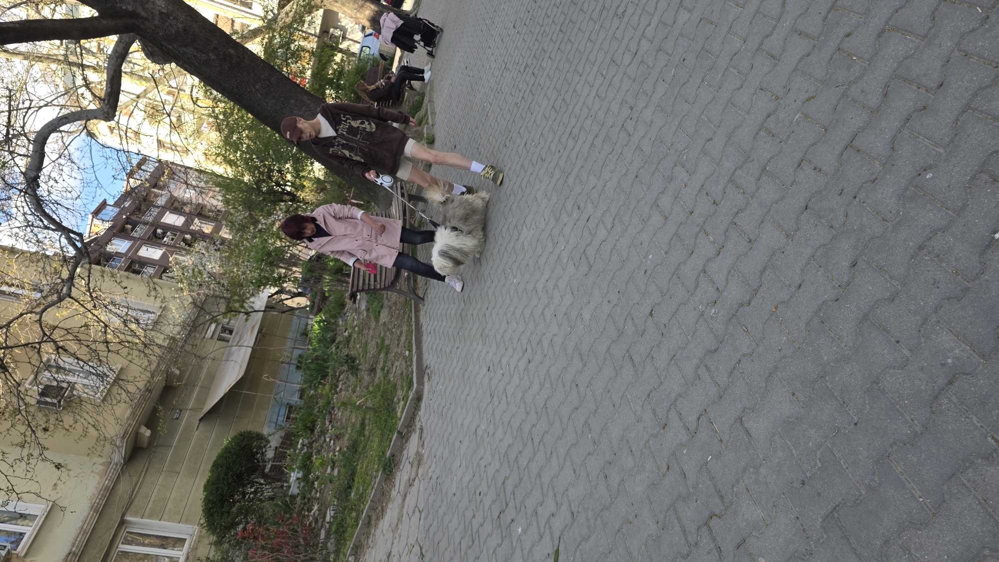 A partially obscured view shows a couple walking a shaggy dog on a paved brick sidewalk within Blagoevgrad, Bulgaria. The path runs between a grassy strip with a bench and buildings on the left, and more open pavement to the right. The couple, one wearing a brown jacket and the other a pink coat, hold the dog's leashes. Trees line the left side of the sidewalk, their branches partially blocking the buildings behind them. The sky is visible through the branches. Other pedestrians are visible further up the path.