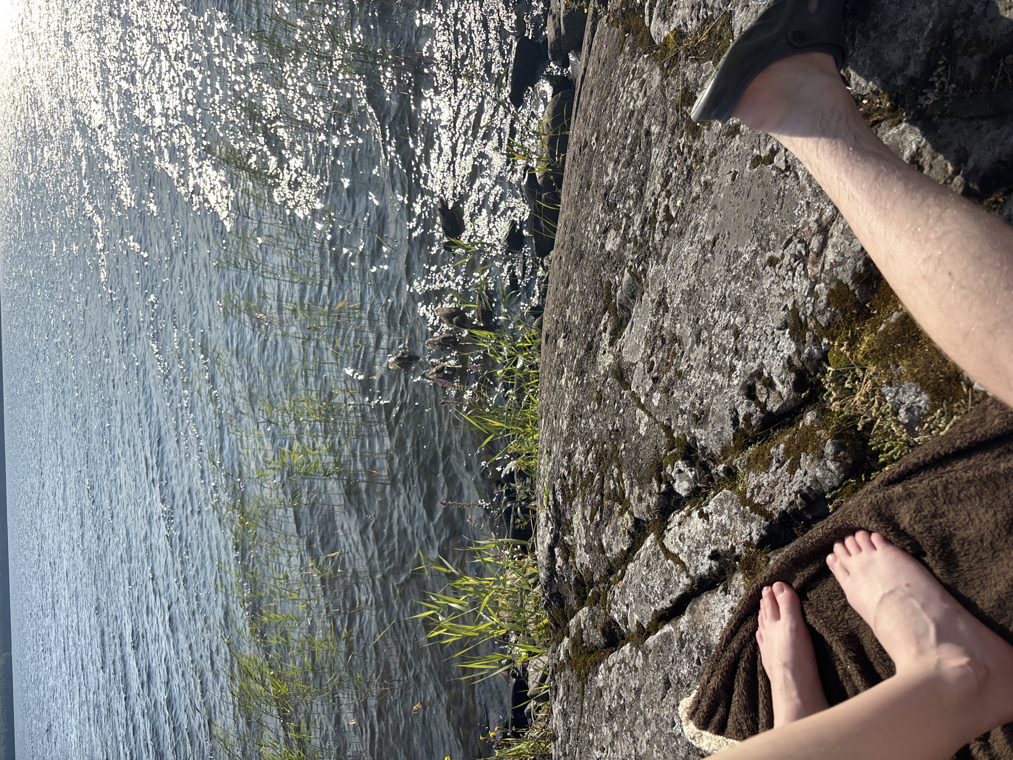 In the city of Shuiskaya Chupa, Russia, a close-up shot captures two individuals relaxing on a rocky shore by a body of water. The foreground is dominated by the texture of the grey, moss-covered rocks and a brown, plush towel. On the towel, a pair of bare feet, belonging to one individual, are visible, with pale skin and neatly trimmed toenails. To the right, another individual's leg, clad in a dark, perforated shoe, rests on the rocks, revealing slightly hairy skin. The water, reflecting the bright sunlight, shimmers with a multitude of sparkling highlights. Reeds and grasses grow along the water's edge, and a group of ducks can be seen swimming in the distance. The overall scene depicts a tranquil outdoor setting, likely a summer day by the lake.