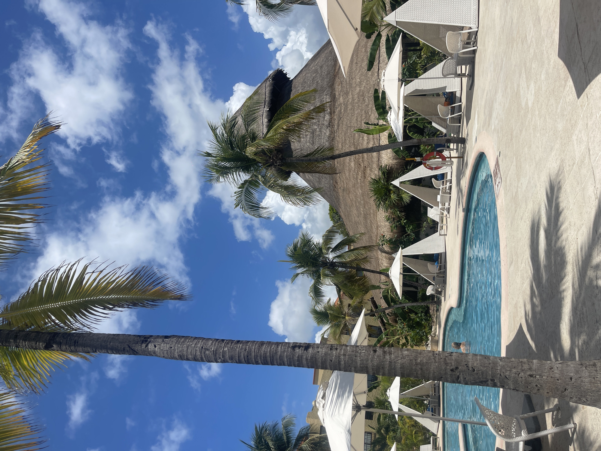 A daytime shot depicts a pool area in Playa del Carmen, Mexico. A swimming pool with clear blue water is bordered by light beige concrete, featuring several white cabanas with white lounge chairs. Palm trees surround the area, with one large palm tree trunk in the foreground. In the background is a thatched roof structure. Fluffy white clouds scatter the blue sky. A person is seen in the pool.