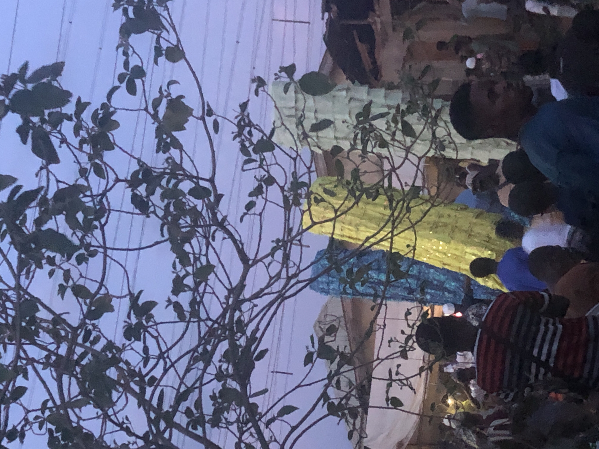 A gathering of people is viewed partially through a foreground of silhouetted tree branches and leaves against a sky. The people are wearing an assortment of clothing in colors such as blue, red, white, and yellow. Some are kneeling. The location appears to be outdoors in a city, possibly near a building, with electrical lines visible in the sky.