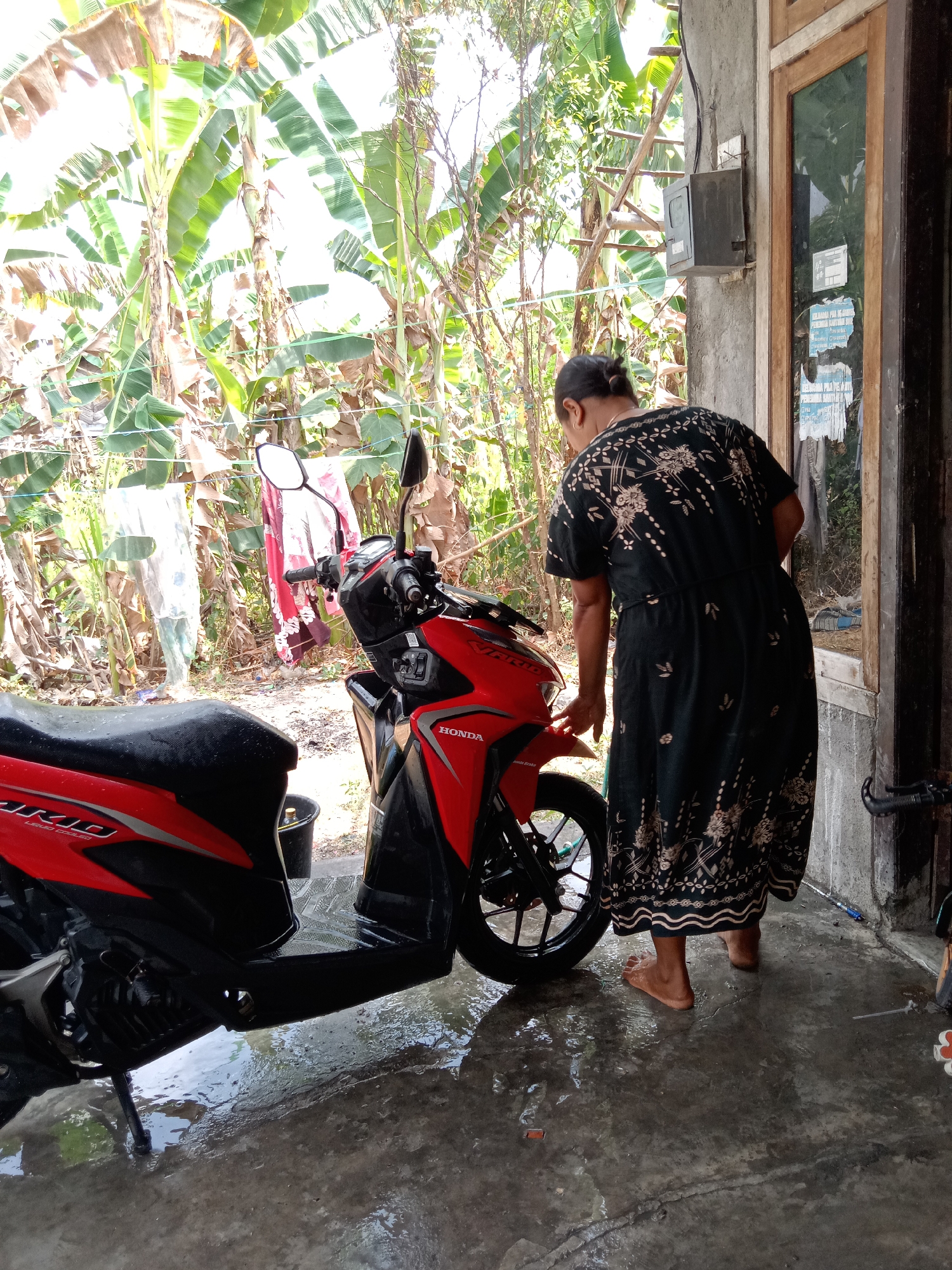 In Jumput, Indonesia, a woman wearing a black dress with a floral pattern stands barefoot on a wet concrete surface next to a red and black Honda scooter. She is leaning towards the scooter, appearing to be cleaning it. The environment is lush and green, with numerous banana trees visible in the background, suggesting a rural or semi-rural setting. Laundry hangs on a clothesline between banana trees. A wooden door and a concrete wall are also present on the right side of the image. The ground is wet, indicating recent washing or rain.