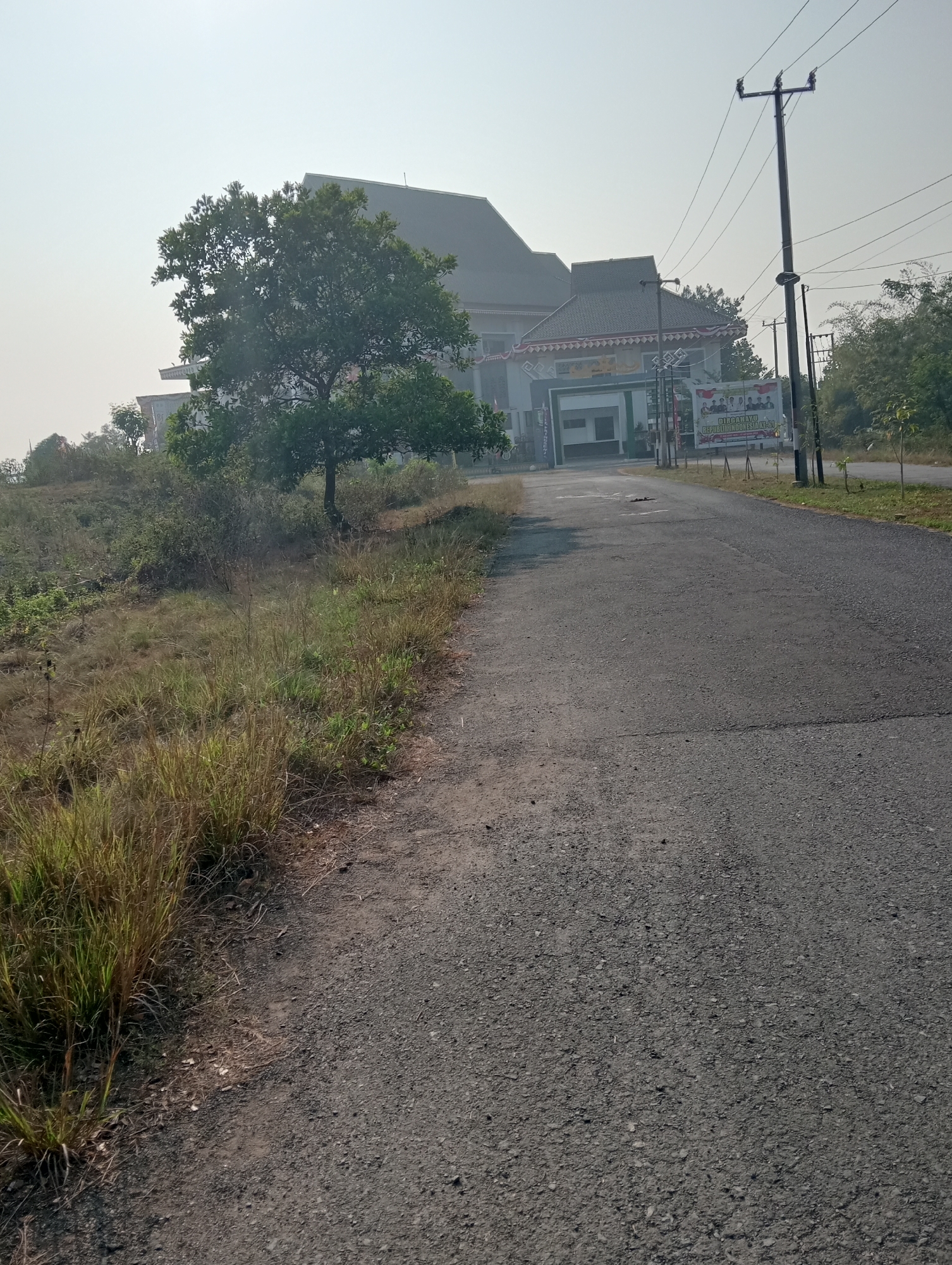 The image captures a view of a road leading towards a building, likely a government office, in Sidoharjo, Indonesia. The road surface is asphalt, showing some wear and tear. To the left of the road, there is an area of dry grass and some vegetation. A lone tree stands prominently in the mid-ground, with a large building visible behind it. The building has a distinctive architectural style with a sloping roof and decorative elements. In front of the building, there is an entrance area, and banners are displayed. A utility pole with overhead wires stands to the right of the road, indicating the presence of electrical infrastructure. The sky is overcast or hazy, suggesting early morning or a lightly polluted atmosphere. The overall scene depicts a somewhat rural or suburban environment within Sidoharjo.
