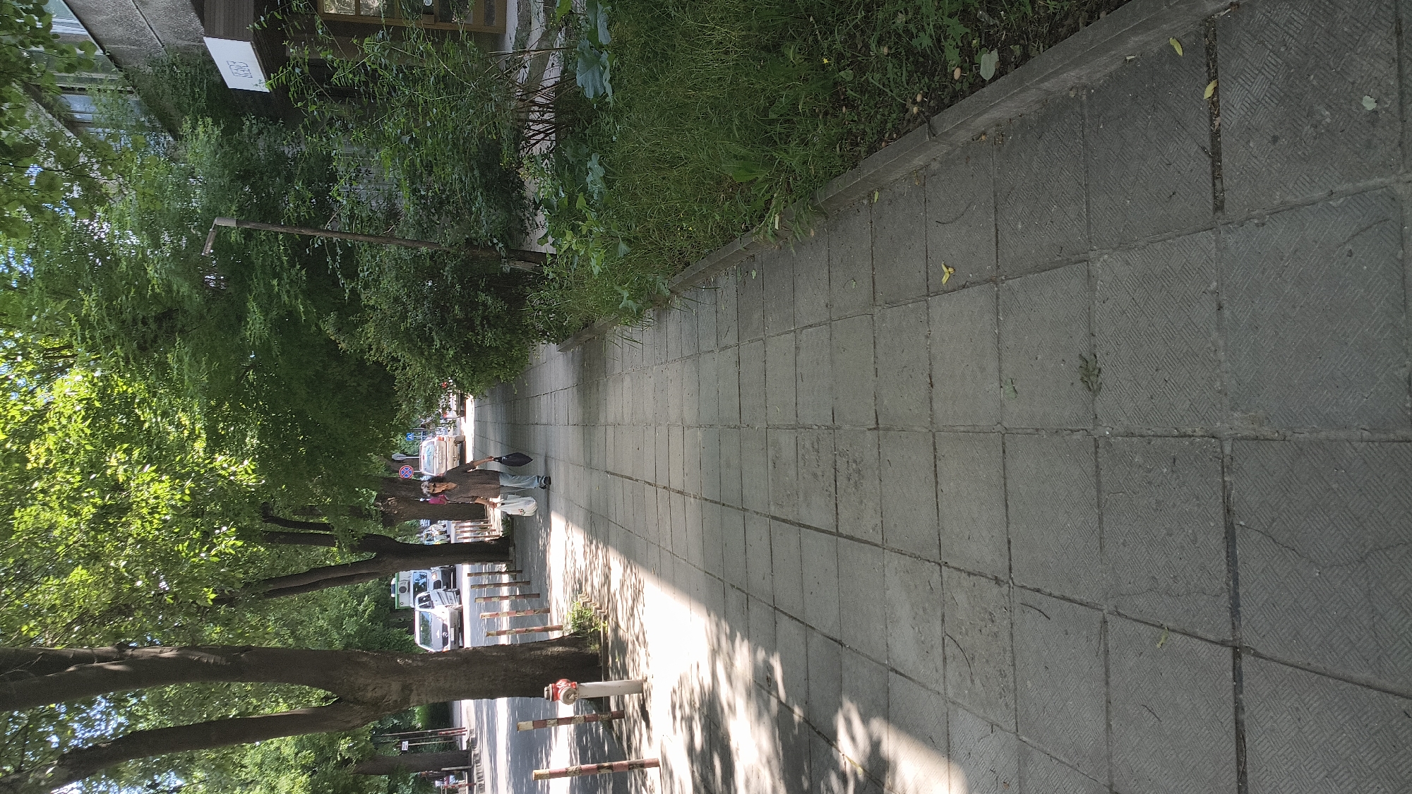 A woman walks on a sidewalk in Shumen, Bulgaria, carrying shopping bags. She is walking away from the camera on a paved sidewalk lined with trees on her left and a grassy area on her right. Cars are visible on the street to her left. The sun casts shadows across the sidewalk. A building with a sign is visible on the right side of the frame.