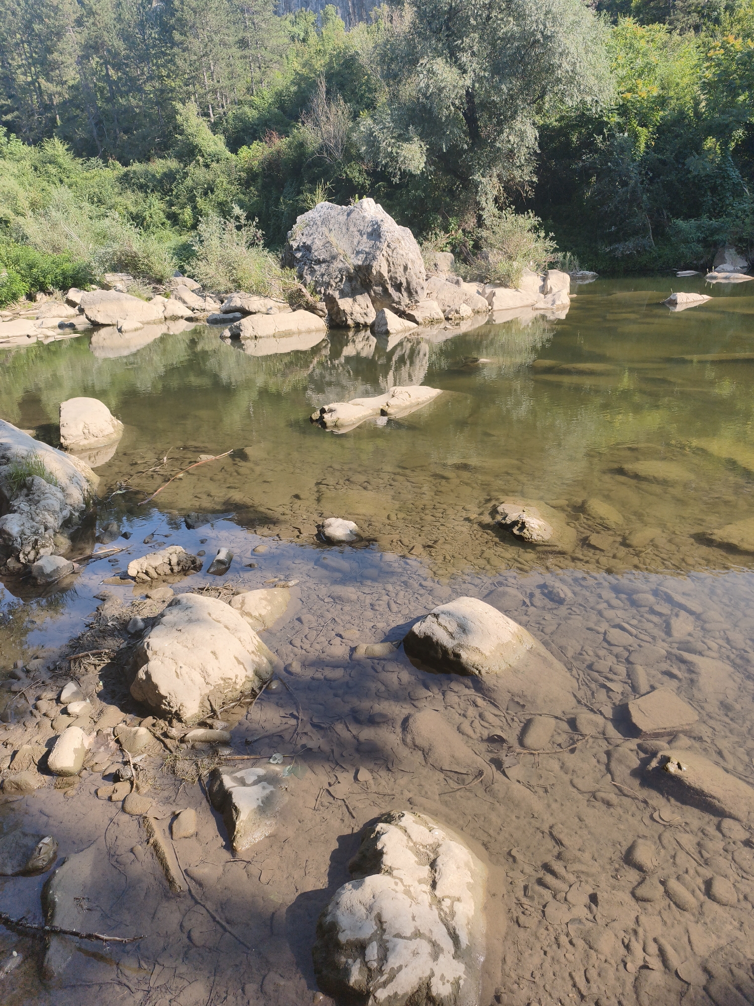 The image depicts a natural river scene with clear, shallow water flowing over a rocky and sandy riverbed. Large, smooth rocks are scattered along the banks and within the river. The water reflects the surrounding lush green trees and vegetation, which cover the hilly terrain in the background. The sunlight casts shadows on the water and the rocks, indicating it is daytime. The environment suggests a relatively undisturbed natural area. While the image shows a river scene, no specific landmarks or elements within the image can definitively place it in the city of Lovech, Bulgaria.