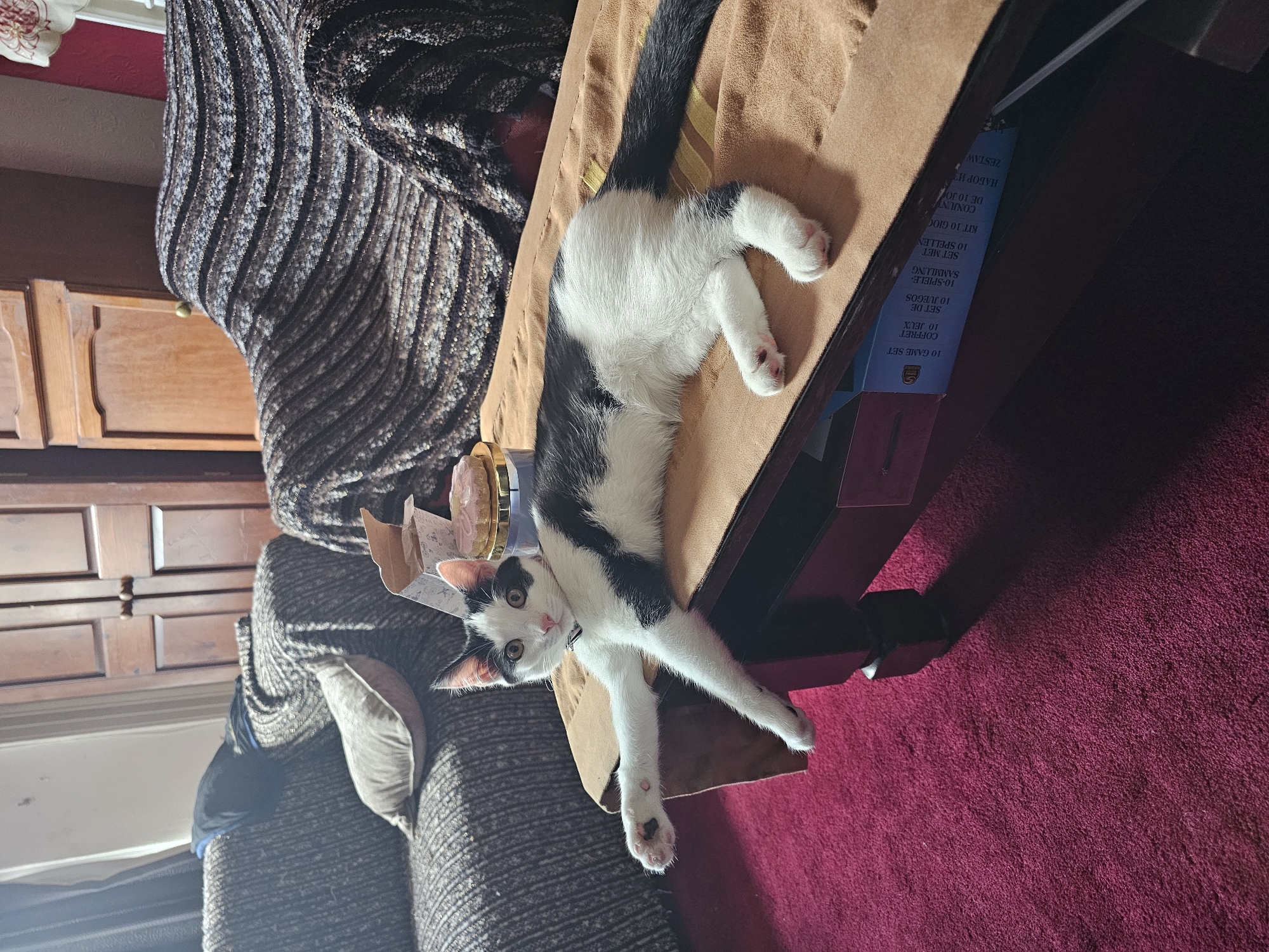 A black and white cat lies on a brown tablecloth on a dark brown table. The cat's body extends towards the right side of the image. A dark brown sofa with a gray blanket is behind the cat. A wooden cabinet is visible in the background. A box with text in multiple languages is near the edge of the table. A red carpet is on the floor to the right of the table. The scene is indoors. There is no evidence to confirm this is in Holywell, United Kingdom.