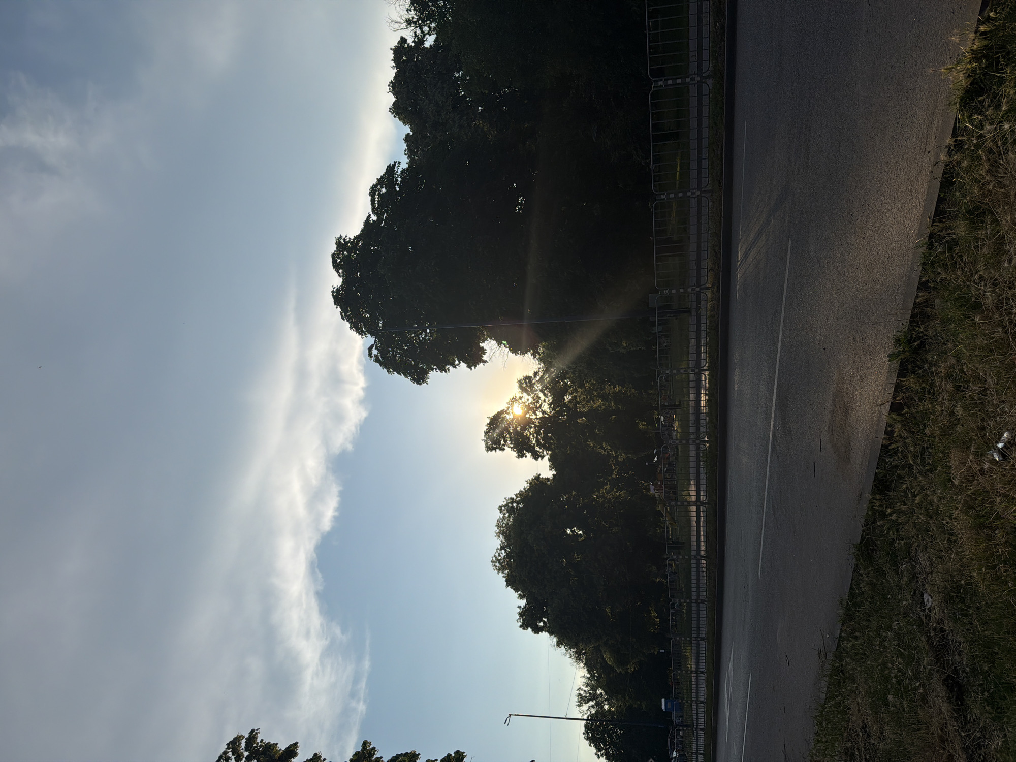 The image depicts a street scene at sunset in Pazardzhik, Bulgaria. A paved road occupies the lower half of the frame, with a strip of dry grass and weeds bordering it on the left. A metal fence runs parallel to the road, separating it from a park-like area. Dense trees with dark green foliage form a silhouette against the sky, with the setting sun peeking through the branches of one tree, casting rays of light. The sky is a gradient of pale blue with scattered white clouds, some of which are illuminated by the sun. A lamppost stands near the fence on the left side of the road. In the distance, beyond the fence and trees, hints of structures and possibly people or vehicles are visible, but they are obscured by the foliage and distance. The overall impression is one of a quiet evening in a park adjacent to a street.