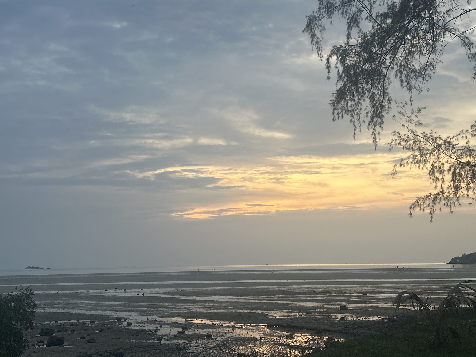 The image depicts a coastal scene at low tide in ตำบลเกาะพะงัน, Thailand. The sky is overcast with hues of blue, gray, and yellow near the horizon. The exposed seabed features puddles reflecting the sky. Several people are walking along the wet sand. A small, silhouetted island is visible in the distance. A tree branch hangs in the upper right corner. In the foreground, vegetation and rocks are visible.