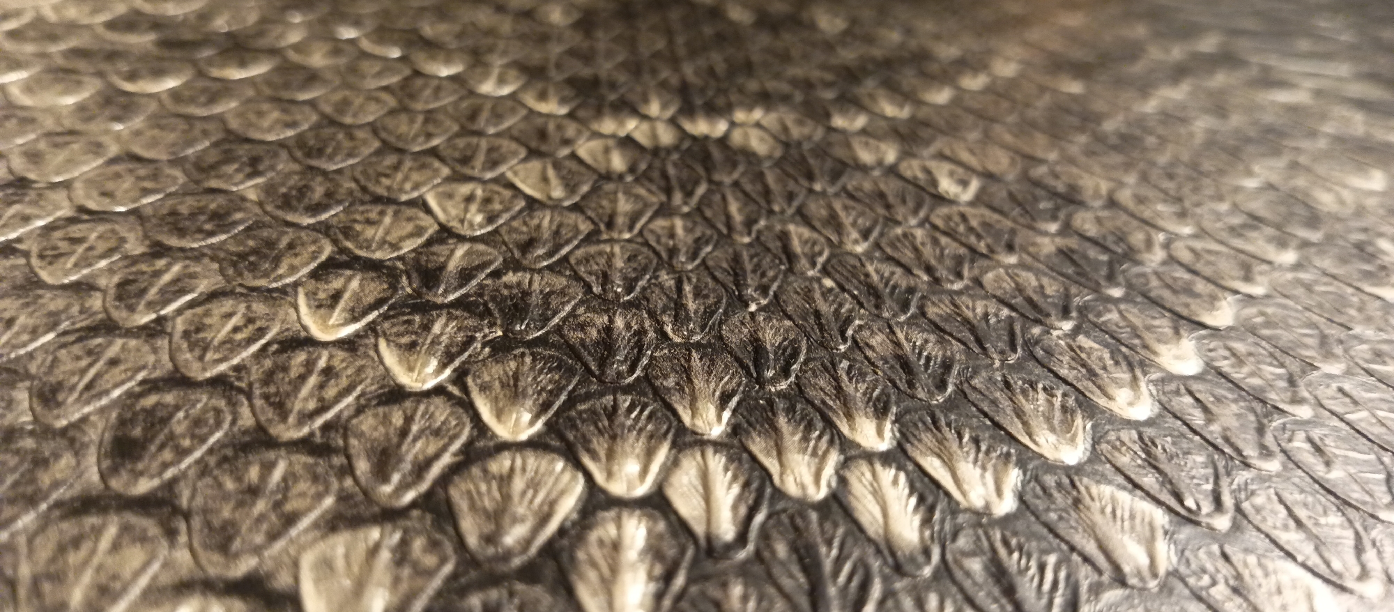 The image shows a close-up of snake scales. The scales are primarily gray and black, with highlights creating a textured appearance. The scales are arranged in overlapping rows, typical of snake skin. The image does not contain any information about a city, people, objects, actions, or interactions. The environment appears to be indoors under artificial lighting.