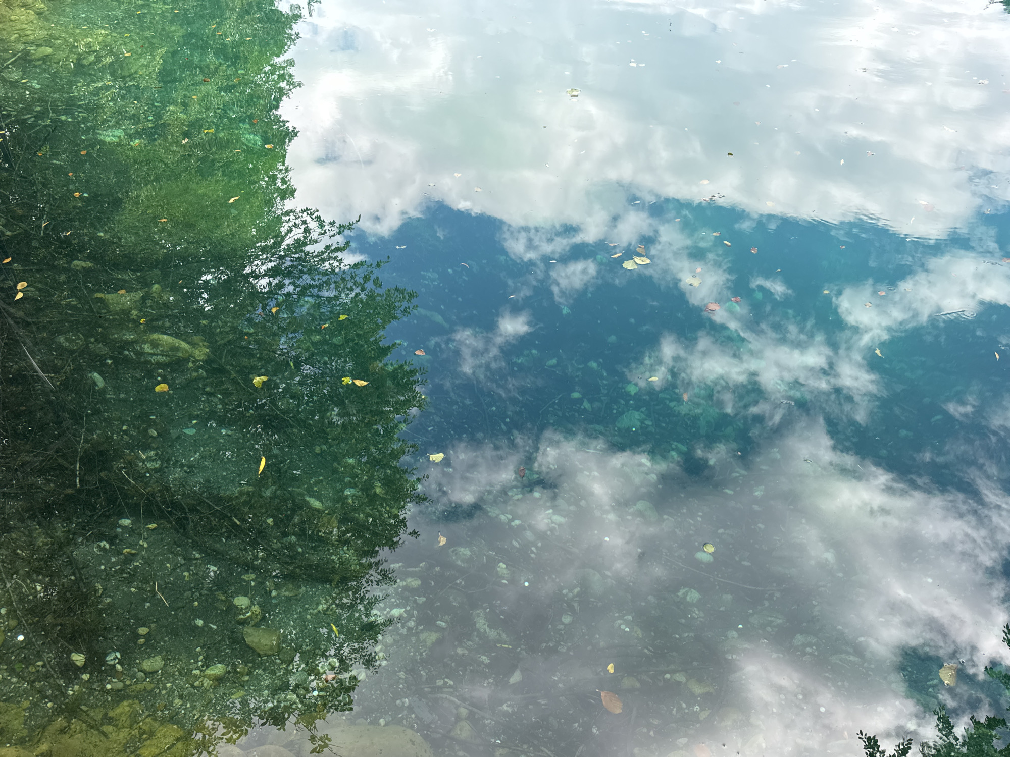 This media file depicts a serene natural scene of a clear, shallow body of water, possibly a river or lake, with the reflections of trees and clouds on its surface. The water is so transparent that the rocky, pebble-strewn bottom is visible beneath. Scattered leaves, some brown and some yellow, float on the surface, suggesting it might be autumn. The left side of the frame is dominated by the dense, dark green foliage of trees, which casts a reflection that blends with the water's clarity. The right side of the frame is mostly occupied by the sky's reflection, showing soft, white clouds against a pale blue backdrop, indicative of a partly cloudy day. The overall mood is tranquil and peaceful, capturing the beauty of undisturbed nature. The scene appears to be outdoors, in a natural, unpopulated setting, likely during daylight hours. There is no visible text in the image. The location context is Verkhnyaya Balkariya, Russia.