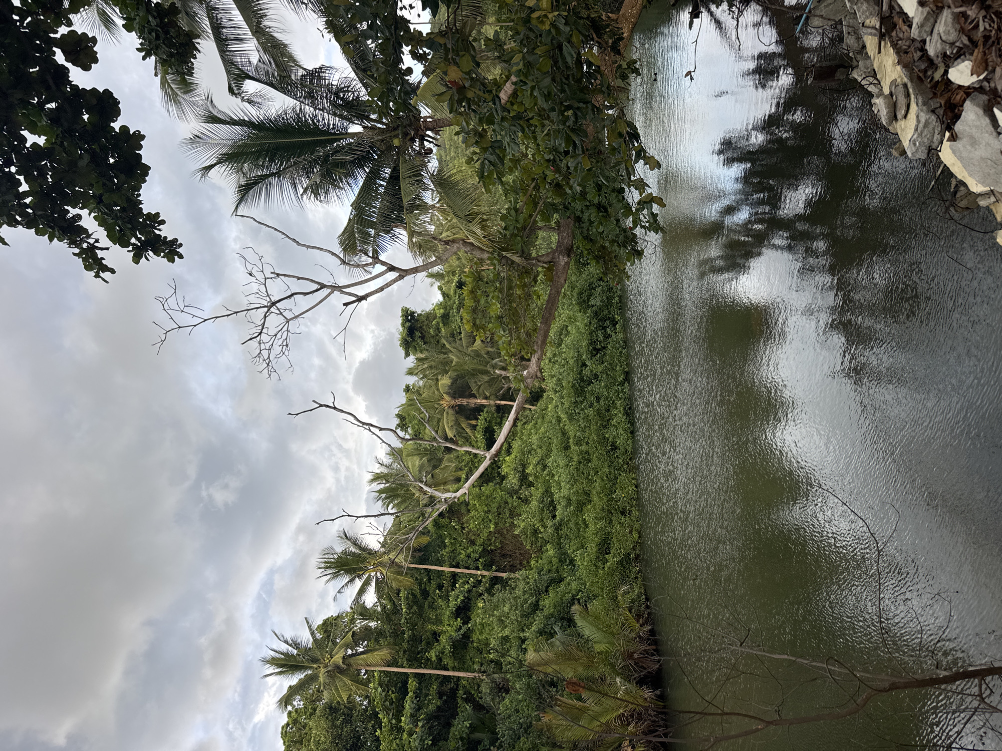 The image depicts a waterway, potentially a canal or narrow river, bordered by dense tropical vegetation. The scene is located in Baan Thong Nang, Thailand. The water is dark and reflects the overcast sky. Lush green foliage lines both banks, including palm trees and various types of trees and bushes. A few bare branches are visible amongst the greenery. On the right side, there's a stone embankment or wall. The sky is cloudy and grey.