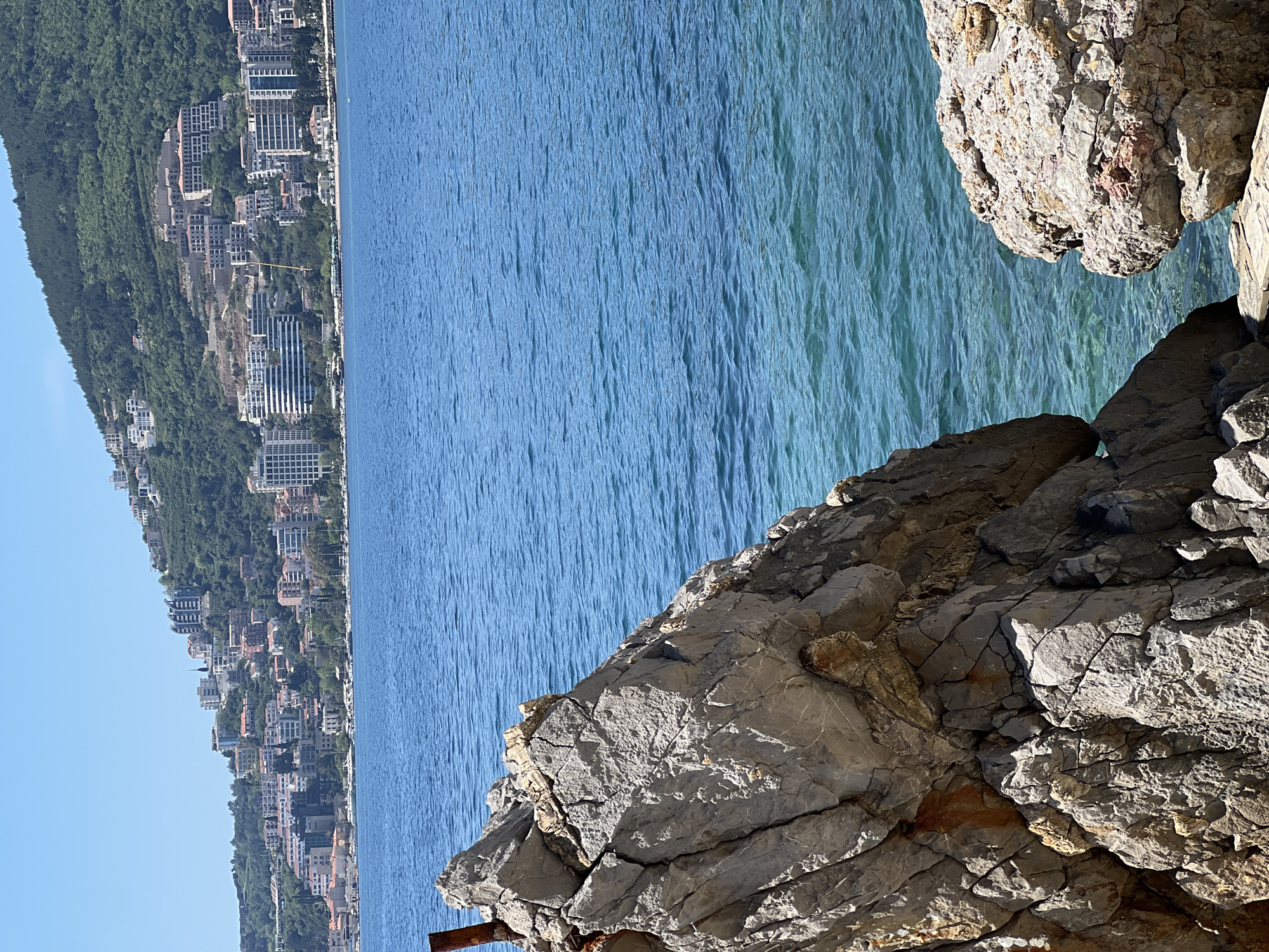 The image displays a vibrant coastal landscape featuring a rocky shoreline, clear blue sea, and a town built into a verdant hillside, characteristic of Budva, Montenegro.
In the immediate foreground, rugged, weathered grey rocks with prominent cracks and varied textures occupy the lower right and center portions of the frame. Some of these rocks exhibit warmer tones of reddish-brown and yellowish-orange, suggesting mineral deposits or varying rock types. Shadows cast on the rock surfaces indicate bright, direct sunlight.
Beyond the rocks, the expansive blue sea dominates the midground. The water is remarkably clear, with visible ripples and subtle variations in turquoise and deeper blue hues, hinting at sunlight reflections and possibly varying depths. The water near the rocks appears particularly translucent.
The background is dominated by a lush, forested hill that rises steeply from the coastline. Numerous buildings, a mix of modern multi-story structures with many windows and more traditional residential houses, are densely built along the water's edge and extend up the green, tree-covered slopes, forming a coastal town or city. The buildings are predominantly light-colored, contrasting with the dark green foliage.
The sky above the distant hill is a clear, bright blue, indicating fair weather. The scene depicts a sunny day, likely late morning or early afternoon, given the intensity and angle of the light. No specific human activity, people, or vehicles are visible. There is no discernible text within the image.