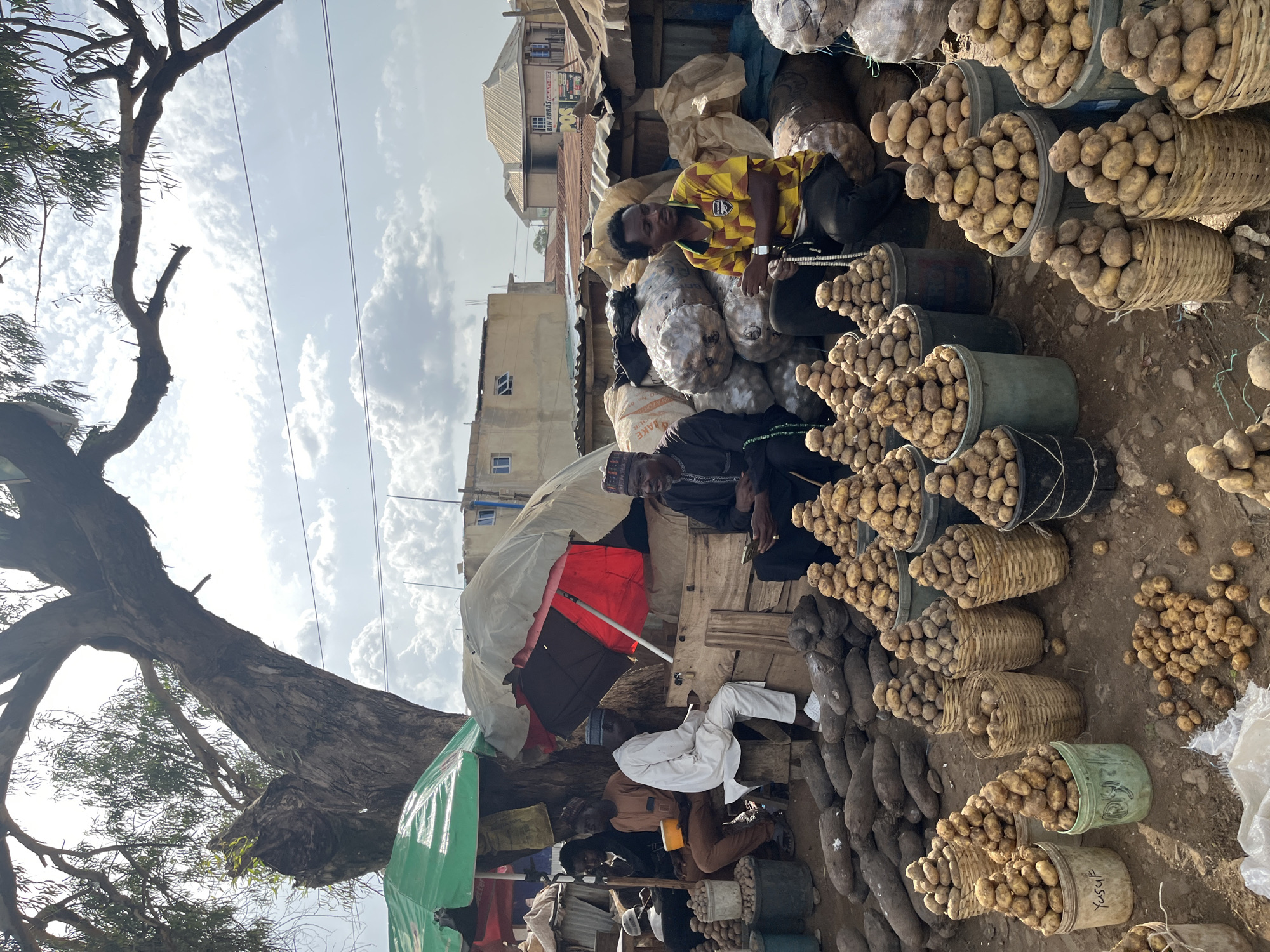 This photograph captures a vibrant market scene in Rafin Par, Nigeria. The sun is high in the sky, casting bright light and creating distinct shadows, indicating it is likely midday. The weather appears clear with scattered clouds.
Several people are present, some actively engaged in the market. In the foreground, a man wearing a white outfit and a cap is seated, seemingly resting. Behind him, another man in a dark cap and traditional clothing is also seated. Further back, a man in a yellow and black patterned shirt is leaning on a large pile of potatoes. The overall atmosphere suggests a busy, functioning marketplace.
The dominant objects in the scene are large quantities of produce, primarily potatoes and yams. The potatoes are displayed in various containers, including woven baskets and plastic buckets, some of which are overflowing. The yams are piled on the ground in long, brown forms. Bags of what appear to be more produce are also visible. The market is set up outdoors, with makeshift stalls and shelters made from corrugated metal and tarpaulins, suggesting a temporary or open-air market. A large, weathered tree with spreading branches stands prominently on the left side of the frame, providing some natural shade. Power lines are visible in the sky above the market stalls and the tree.
One of the buckets holding potatoes has "Yussuf" handwritten on it. The surrounding buildings appear to be simple, multi-story structures, typical of urban or semi-urban environments. The overall impression is one of lively commerce and the abundance of local produce.
