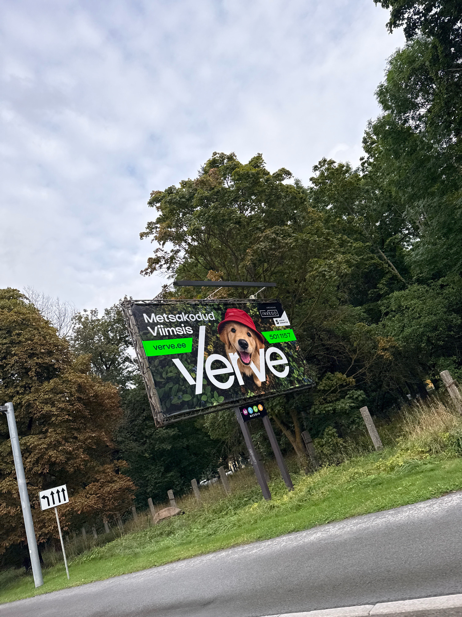The image shows a billboard advertising "Metsakodud Viimsi" with a golden retriever wearing a red hat. The billboard has green accents and the website "verve.ee" is visible. It is situated in an outdoor environment with trees and a cloudy sky. A directional sign with three upward arrows pointing left is also visible next to the billboard. The setting appears to be along a road, with grass and a fence line in the foreground. The perspective suggests the photo was taken from a moving vehicle. The location is identified as Tallinn, Estonia.