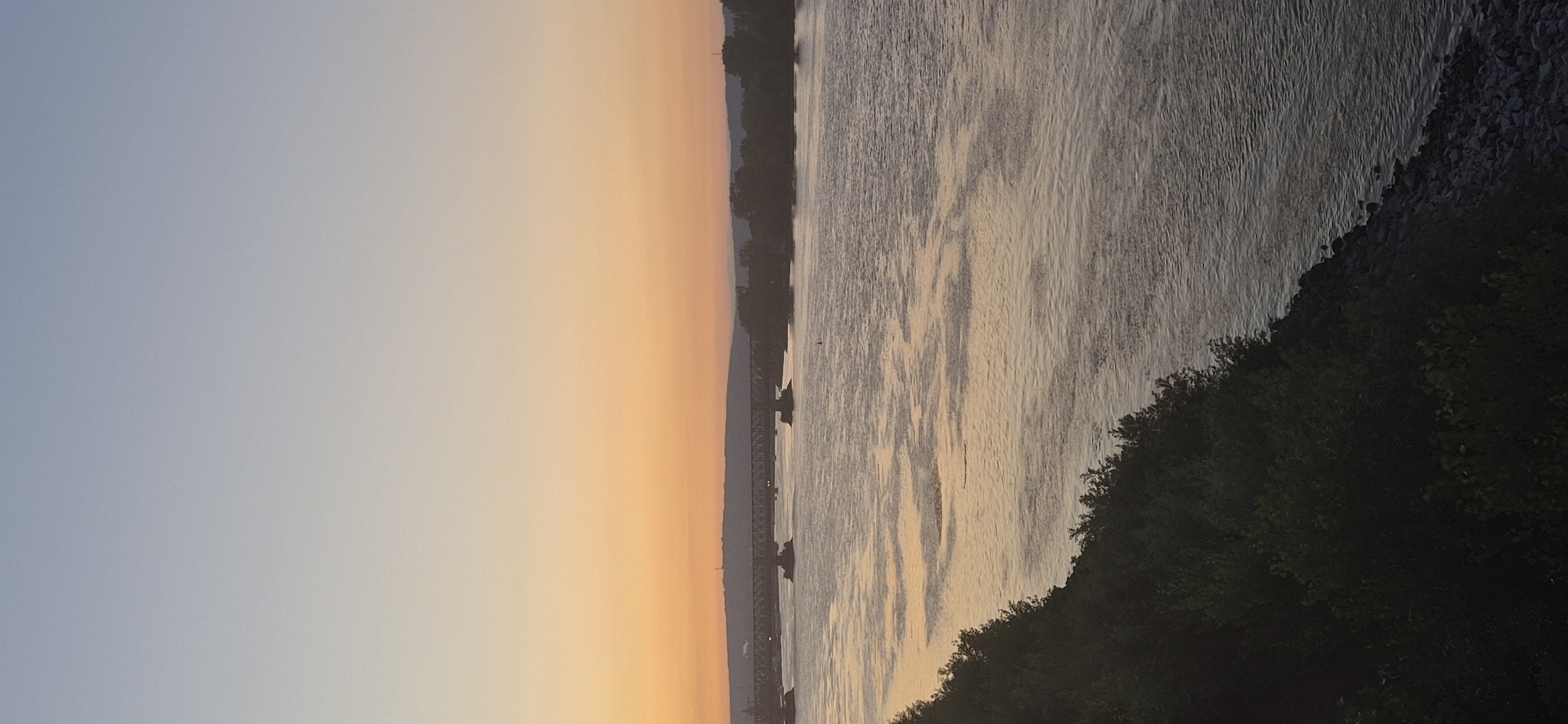 The image depicts a wide river, likely the Rhine, at sunset in Mainz, Germany. A bridge with several spans crosses the river in the mid-ground, and silhouetted trees and hills form the distant background. The sky transitions from a pale blue at the top to a soft orange and yellow hue near the horizon, reflecting on the rippling water. The foreground shows a dark, tree-covered bank leading down to a rocky shoreline. No people or specific actions are visible. The scene is tranquil and captures the natural beauty of the river and its surroundings during twilight.