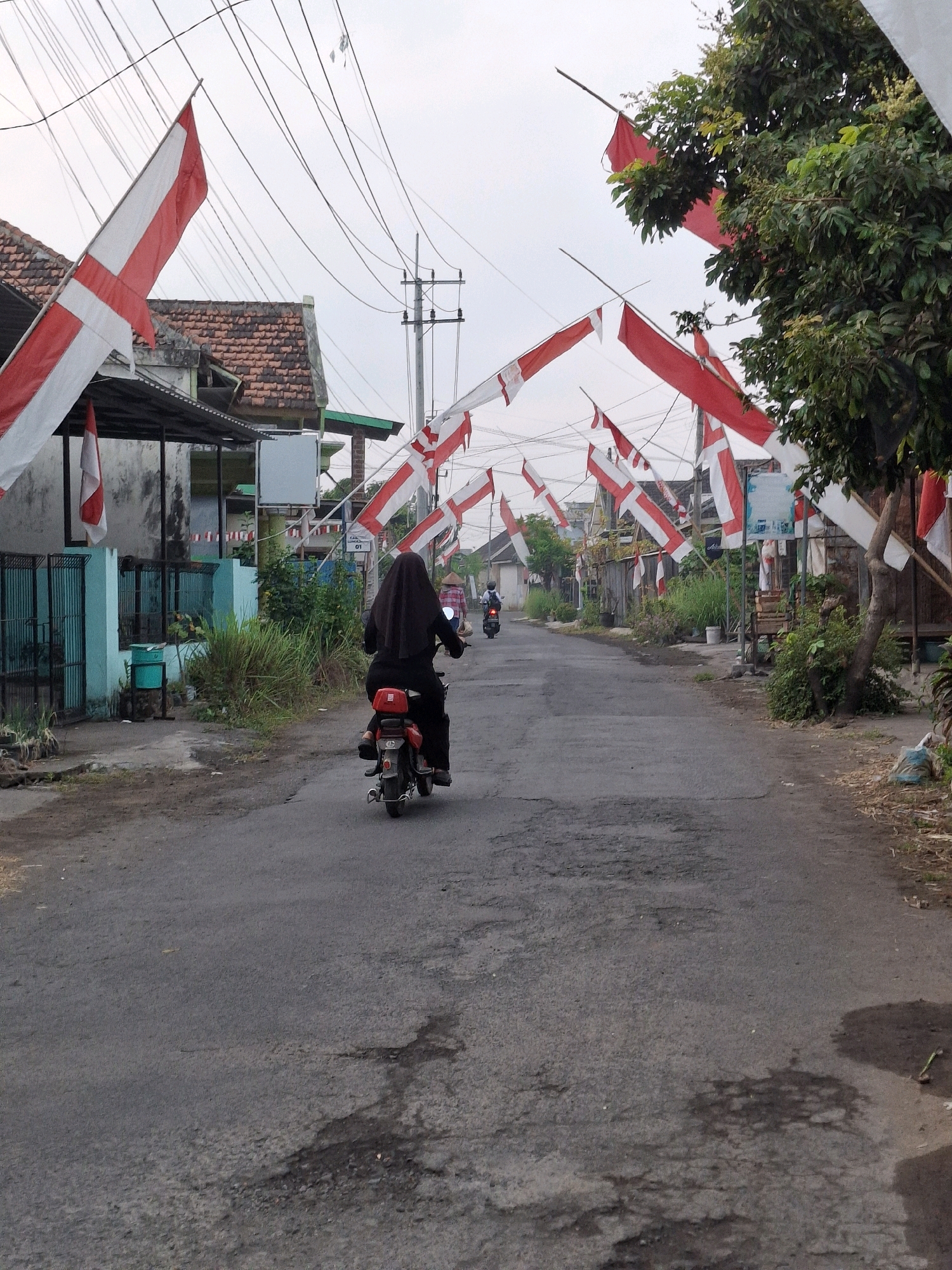 The image depicts a street scene in Lumajang, Indonesia, likely adorned for a national celebration given the numerous Indonesian flags strung across the road. A person wearing a black hijab and abaya rides a red scooter down the asphalt street, which shows signs of disrepair with potholes and patches. The street is flanked by houses, some with tiled roofs and fences, and dense green vegetation. Overhead, a network of power lines crisscrosses the sky, and several trees, including one with green leaves and some light-colored blossoms, are visible. The flags, predominantly red and white, are attached to poles and stretched across the street, creating a festive atmosphere. In the distance, other scooters and a person wearing a conical hat can be seen, suggesting ongoing activity in the area. The lighting indicates it is daytime, possibly overcast, with a soft, diffused light.