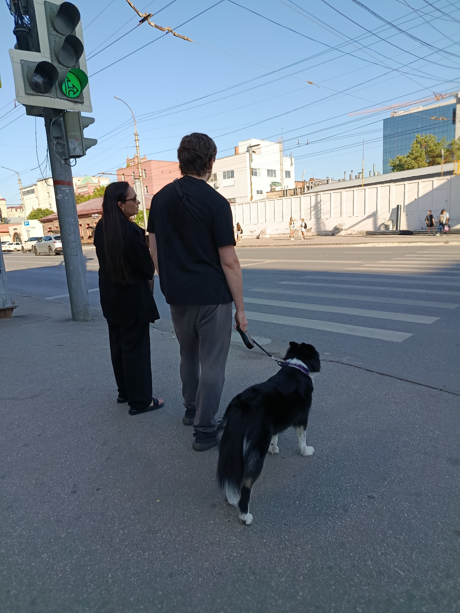 In Saratov, Russia, a man, a woman, and a black and white dog are standing on a sidewalk near a pedestrian crossing. The man is wearing a black t-shirt and grey pants, holding a leash. The woman is wearing a black outfit and sandals. The dog, a border collie mix, is wearing a purple collar and looking to the right. A traffic light is visible to the left, showing a green arrow pointing right. In the background, buildings, power lines, and a construction crane are present under a clear blue sky.