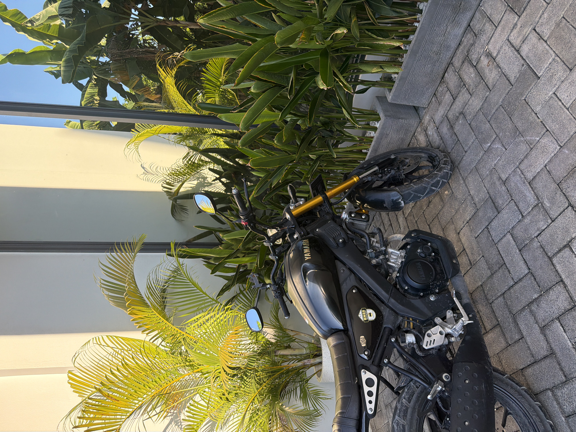 A black Yamaha XSR 155 motorcycle is parked on a gray brick paved surface beside a white wall with leafy green plants. The location is Kuta Selatan, Indonesia. The motorcycle is slightly angled towards the viewer. The surrounding vegetation includes palm trees and banana plants. The sky is visible in the upper left corner.