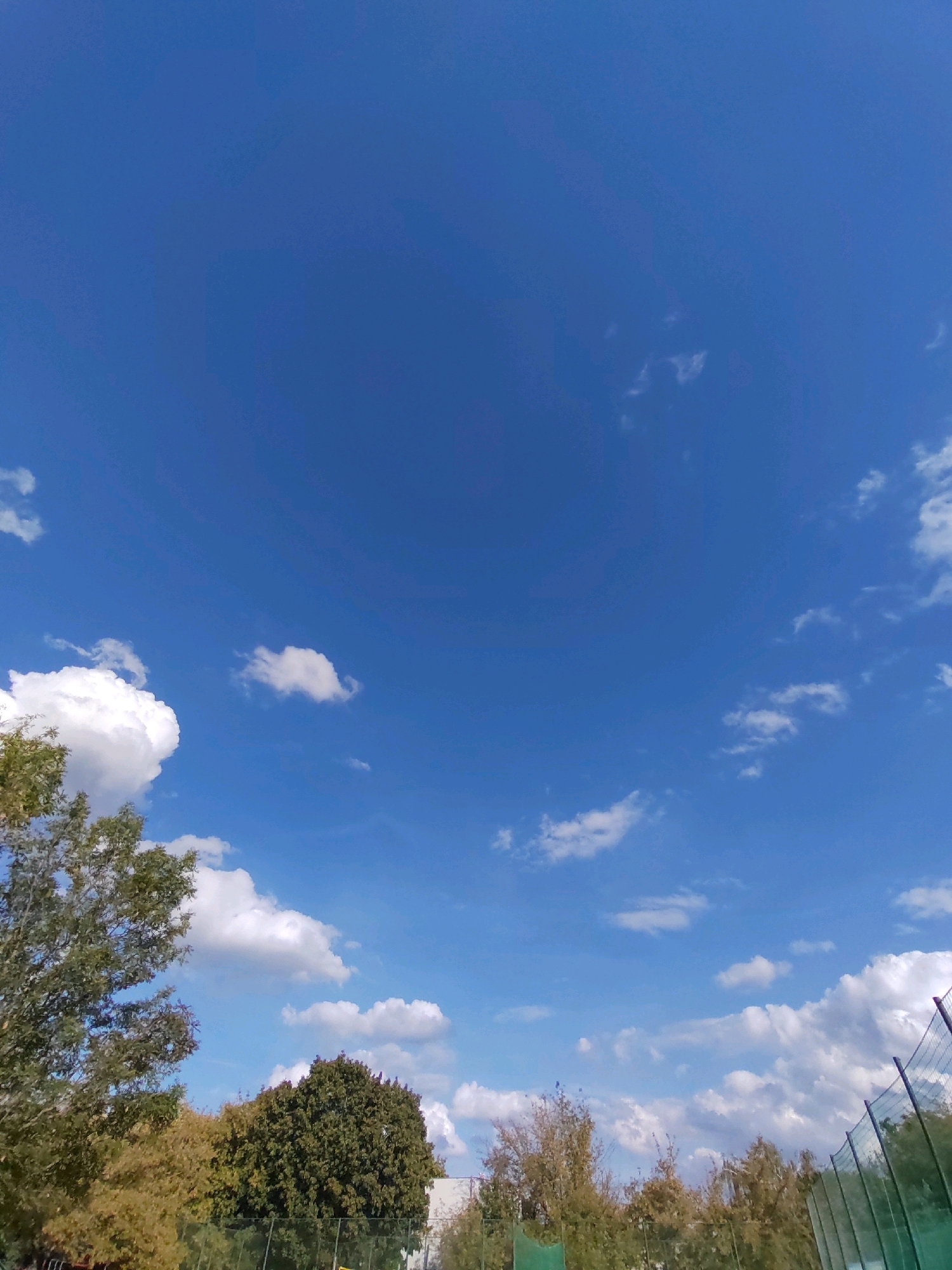 A wide-angle, low-angle shot captures a bright blue sky with scattered white clouds over a park-like area in Prague, Czechia. The foreground features the tops of trees with green and brown foliage, suggesting an autumn season. A dark green chain-link fence runs along the right side of the frame, partially obscured by trees. The sky takes up approximately two-thirds of the image, with the clouds appearing more dense and textured towards the bottom right. No people are visible in the frame.