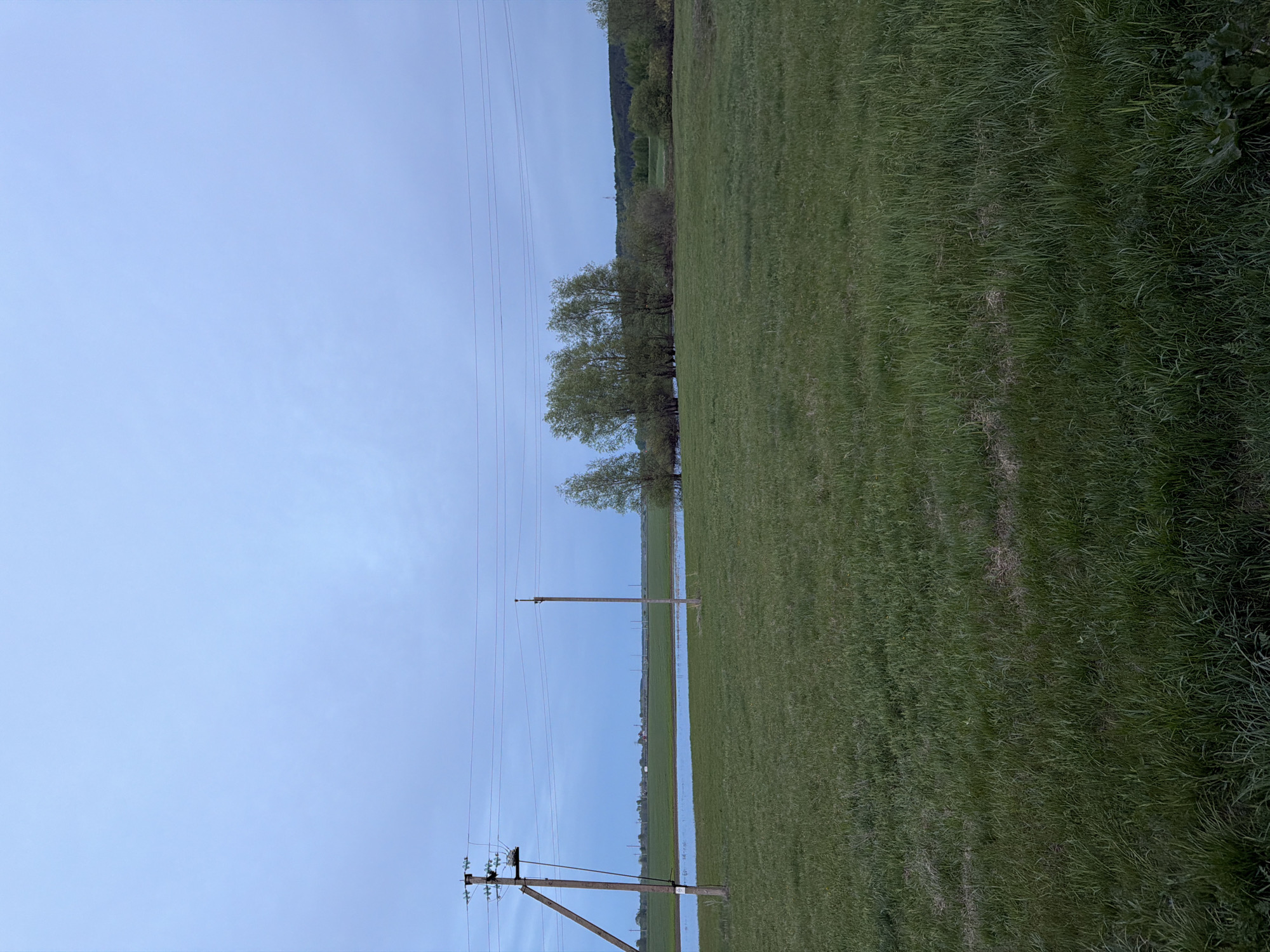 The image depicts a rural landscape in or near Azyakul', Russia, showing a waterlogged grassy field extending towards a line of trees and a distant treeline. Several wooden power poles are visible, supporting electrical wires running across the frame. The sky is overcast and light blue. There are no people visible. The primary subjects are the field, the water inundation, the trees, and the power infrastructure.
