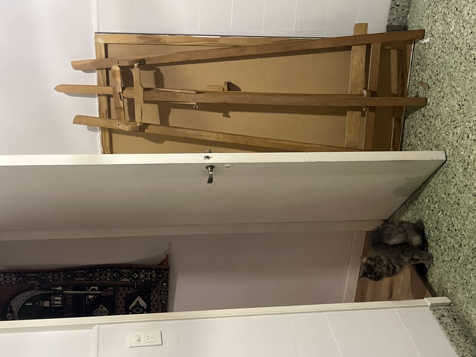 The image depicts a room with a white door partially obscuring a view of the interior. An unfolded wooden easel rests against the wall, seemingly leaning on the door. A grey cat is perched near the edge of the doorway, resting on the floor. Below the door, a portion of a decorated rug or tapestry is visible. A light switch is located on the wall below the rug. The floor is a speckled pattern, and the walls are white. The location in the city of Buenos Aires, Argentina, is not discernible from the image.