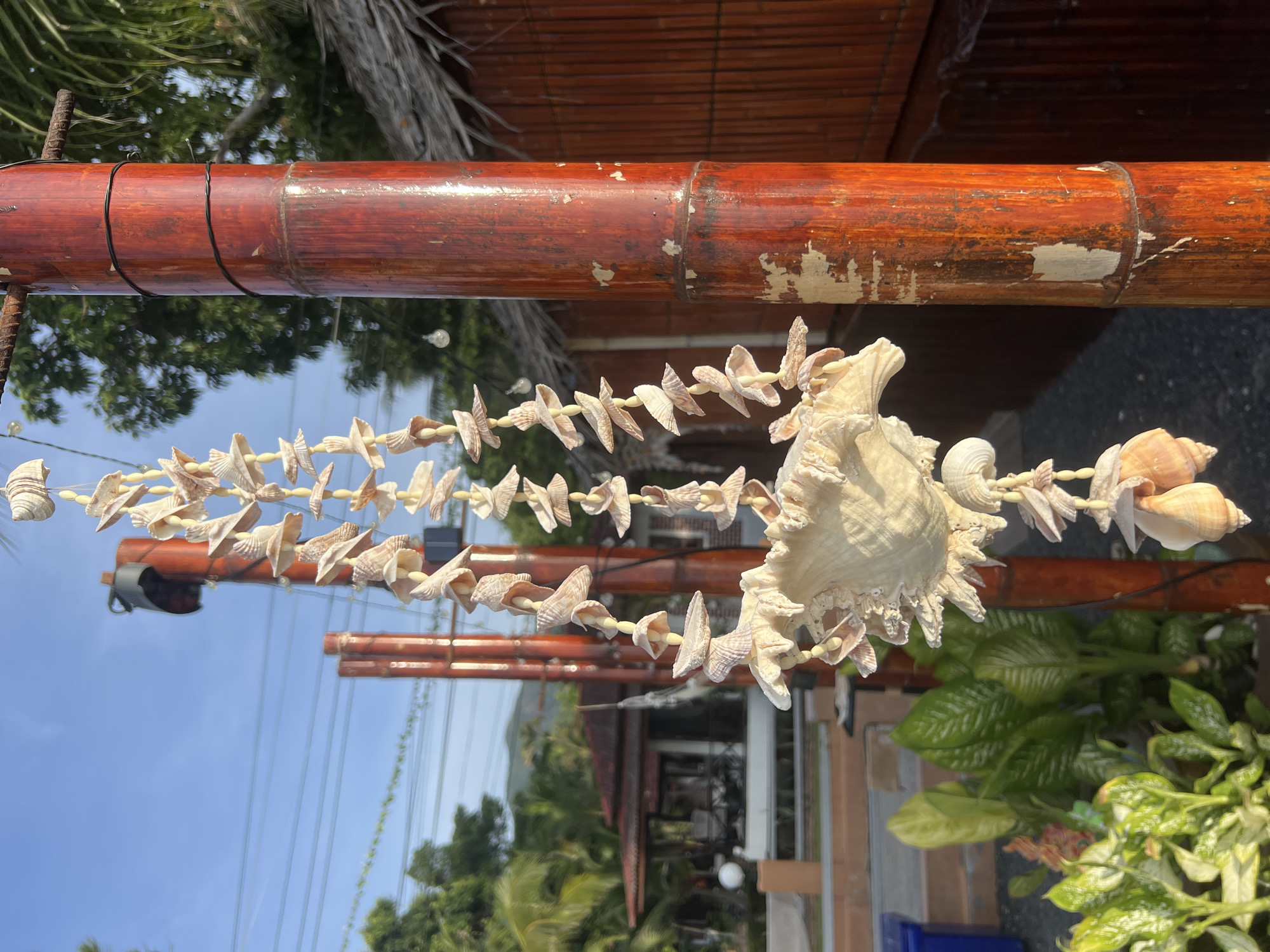 This image shows a seashell garland hanging from a weathered bamboo pole. The garland is made of numerous small, light-colored shells, strung together on a thin cord. A larger, more ornate shell is prominently featured in the center of the garland. The background is blurred but suggests an outdoor setting with lush green foliage and a bright blue sky. There is also a glimpse of buildings and other bamboo structures. The overall impression is of a tropical or seaside location, possibly a resort or a beachside establishment. The lighting suggests it is daytime, and the clear sky indicates fair weather. There is no visible text in the image.