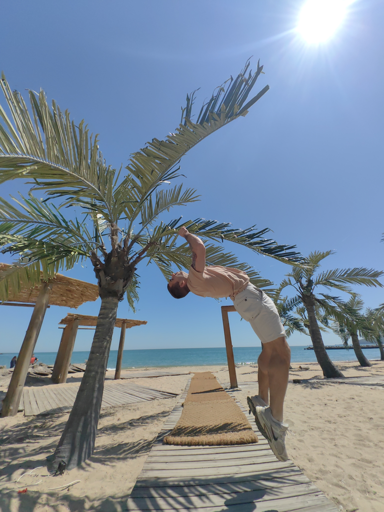 A low-angle, wide shot captures a man performing a backbend while holding onto a palm tree on a sunny beach. The location is Varna, Bulgaria, specifically along the beachfront area known for its palm trees and boardwalks.
The man, dressed in a light-colored t-shirt and beige shorts, is arched backward, his hands gripping the fronds of the palm tree. He is balancing on a wooden boardwalk that extends out onto the sandy beach. The sand is light beige in color. His sneakers are light-colored as well.
Behind the man, the turquoise water of the Black Sea stretches to the horizon under a clear blue sky. Additional palm trees are visible in the background, spaced along the beach. Wooden shade structures with thatched roofs are situated along the boardwalk. The sun is high in the sky, causing lens flare.