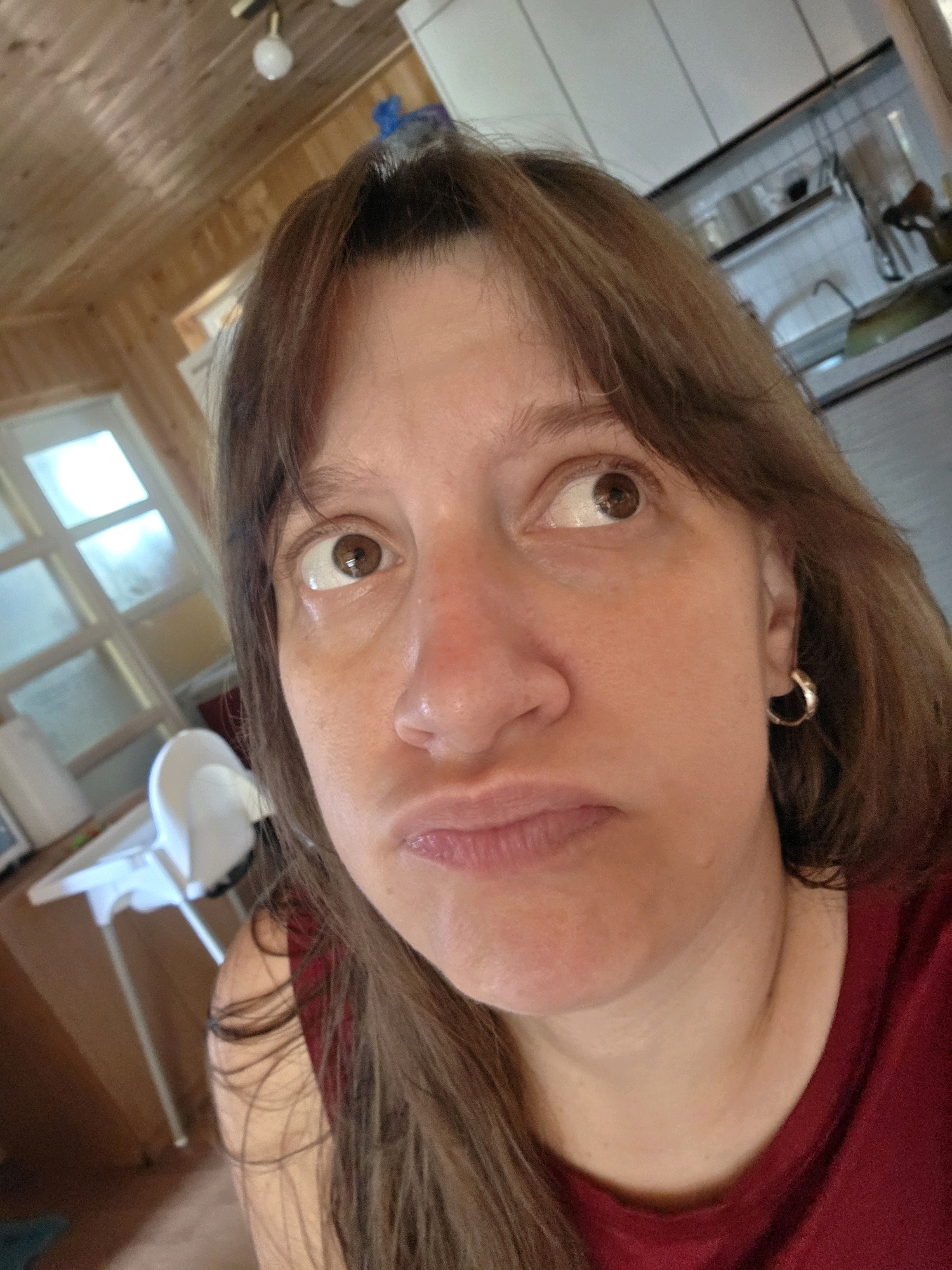 The image shows a close-up, selfie-style photograph of a woman with brown hair and brown eyes. She is looking up and to her right, with her lips pursed in a slightly pouty expression. She is wearing a dark red shirt and a small gold hoop earring in her right ear. The background appears to be an indoor setting, possibly a kitchen, with wooden paneled walls and ceiling, a sink and cabinets visible, and a high chair in the distance. The lighting suggests an indoor environment during the day. There is no identifiable information or context that would place this image in Dunnae-myeon, South Korea.