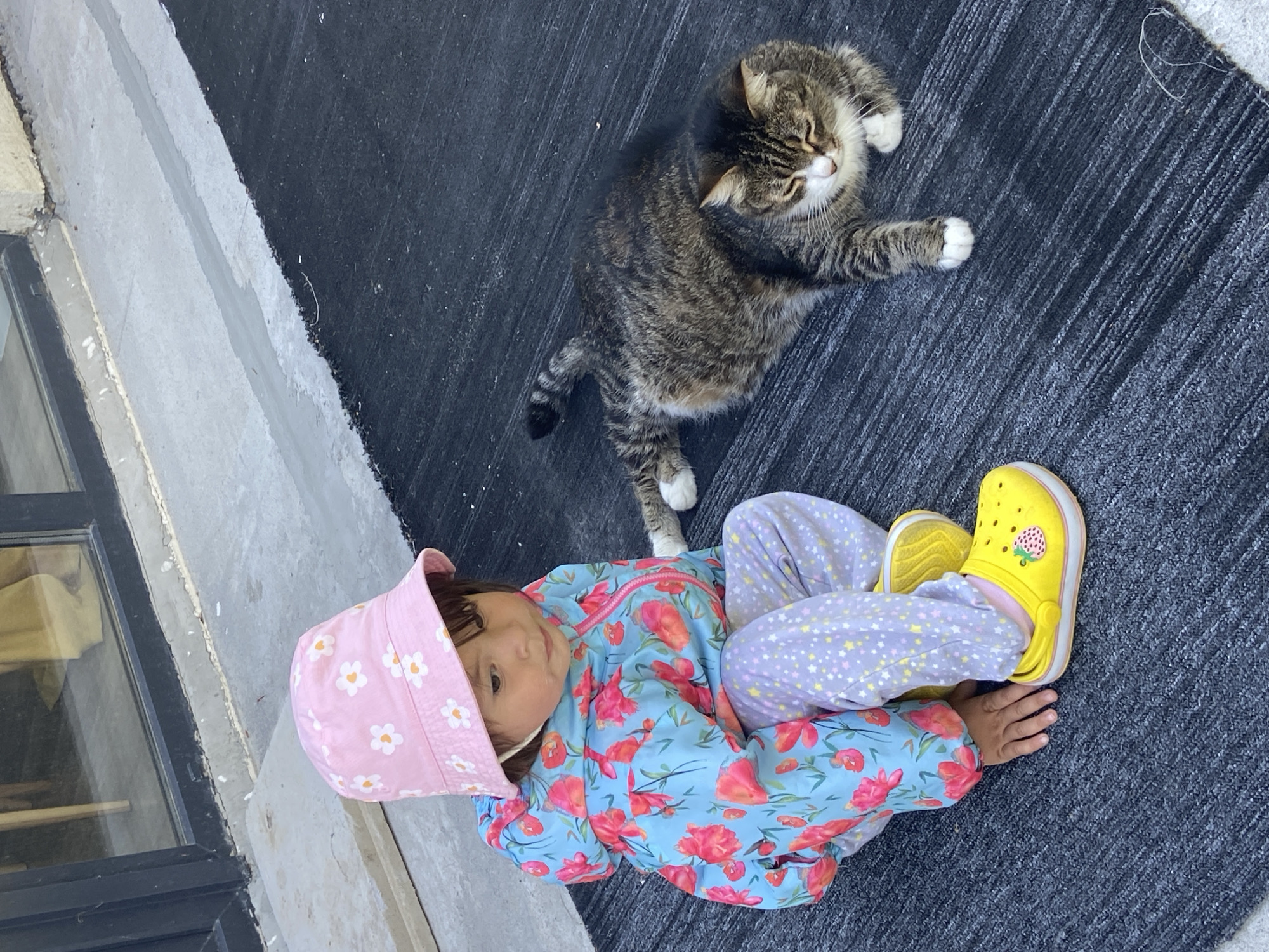 A high-angle outdoor shot depicts a young child and a cat on a dark, textured surface resembling a rug or carpet. The child, positioned on the lower right, wears a pink hat with white floral patterns, a blue floral jacket, and light purple pants with white star prints. Yellow clogs are on the child's feet.
The cat, located in the upper center of the frame, is lying down, facing away from the child, and has tabby fur with white paws. The background includes a building with a glass window on the left and a gray concrete surface running along the edge of the rug.
Based on the architectural style and surroundings, there is insufficient information to confidently ascertain that the photo was taken in Tyumen, Russia. More specific details such as signage or distinguishable landmarks would be necessary.