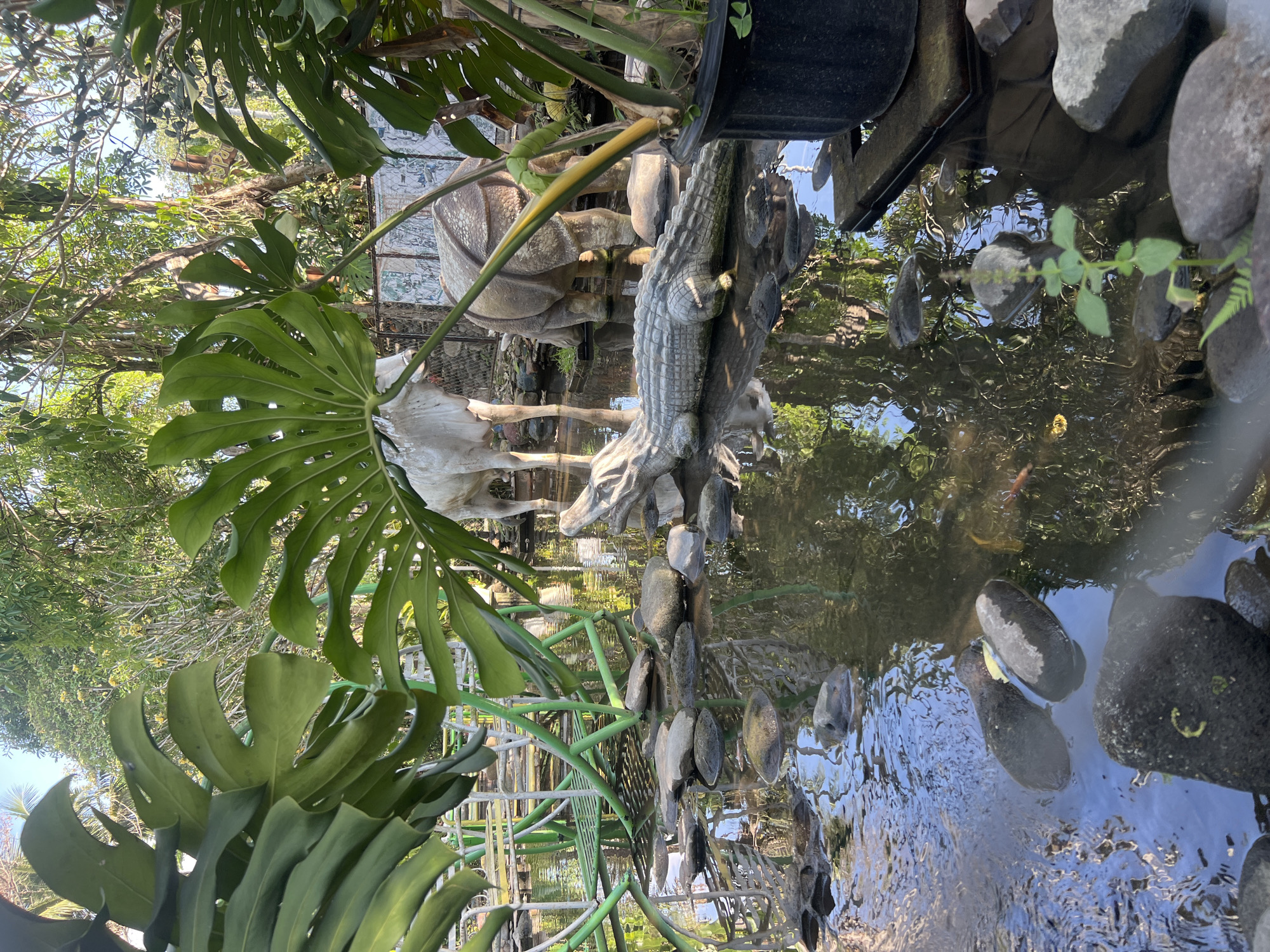 The image depicts an outdoor scene at a zoo or park in Tlogoadi, Indonesia. In the foreground, a man-made pond is filled with water and scattered rocks. A concrete sculpture of a crocodile lies partially submerged in the water. In the background, there are two animal sculptures: a white bull and a rhinoceros. Lush green foliage, including large Monstera leaves, frames the scene. The reflections of the trees and sky are visible on the water's surface.