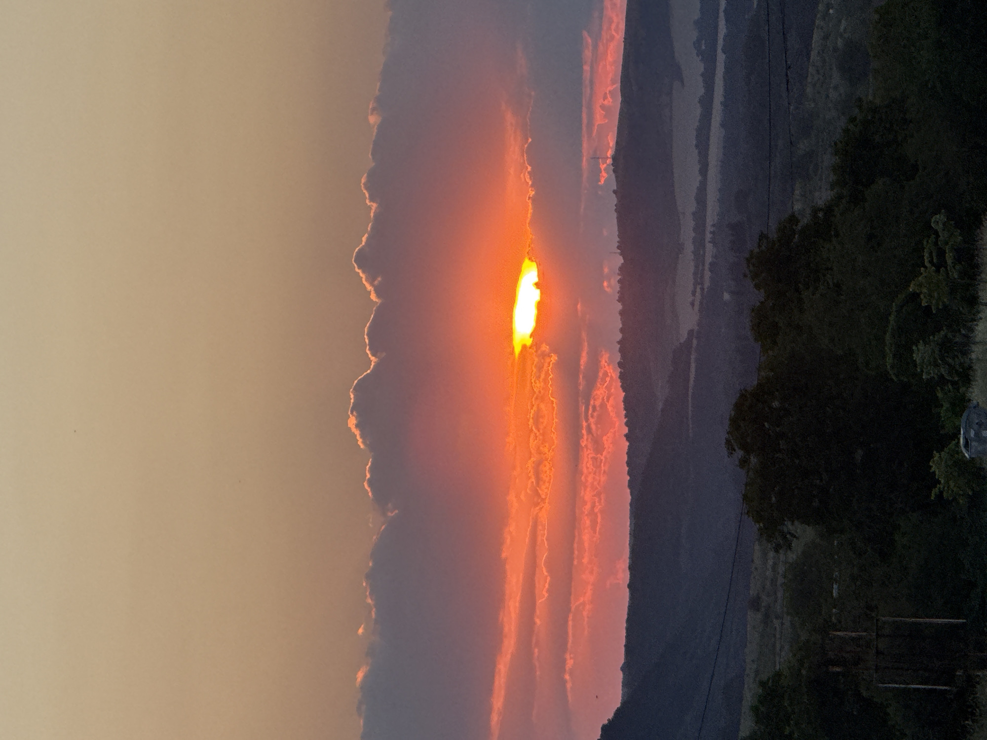 This is a vertical, medium-distance shot of a sunset over the rolling hills of Medovo, Bulgaria. The sky is a gradient of pale orange at the top, transitioning to vibrant pink and deep orange clouds that partially obscure the setting sun. The sun itself appears as a bright, white-yellow orb peeking through a gap in the clouds, casting a warm glow on the surrounding atmosphere. The landscape below consists of dark, silhouetted hills and trees. In the foreground, lush green foliage and dark trees dominate the lower portion of the frame, with a dark, vertical structure resembling a utility pole or fence post visible on the left. The scene depicts a tranquil, natural environment at dusk.