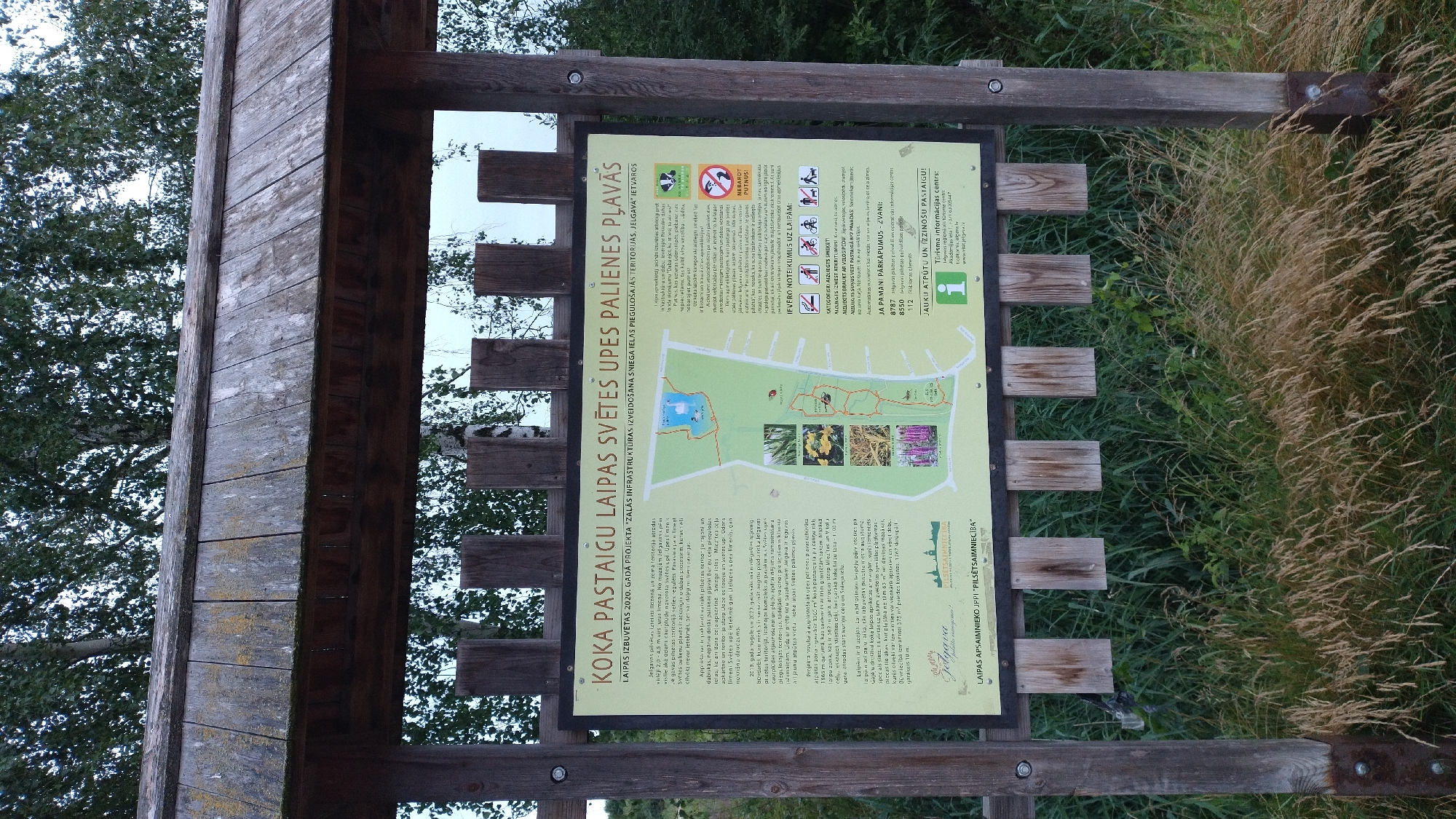 The image shows an outdoor informational sign located within a park or natural area. The sign, made of wood, features a large rectangular poster detailing a project called "KOKA PASTAIGU LAIPAS SVĒTES UPES PALIENES PLAVĀS" (Wooden Walkway of Svētes River Floodplain). The poster includes a map of the area, illustrations of plants and animals, and text in Latvian describing the project, its objectives, and important information for visitors. The sign is supported by wooden posts and a wooden roof structure, weathered and showing signs of age. The background consists of lush green foliage, tall grass, and trees, suggesting a natural, possibly rural or park-like setting. The overall impression is one of an outdoor information point within a nature reserve or recreational area. The bottom of the sign indicates it is part of the "LAIPA APSAIMNIEKO IPPI "PILSET SAIMNIECĪBA"", which translates to "Laipa is managed by IPPI 'City Economy'". The project's location is specified as "JELGAVA" which is the city of Jelgava, Latvia. The sign is positioned on wooden posts and under a wooden canopy, surrounded by tall grass and vegetation.