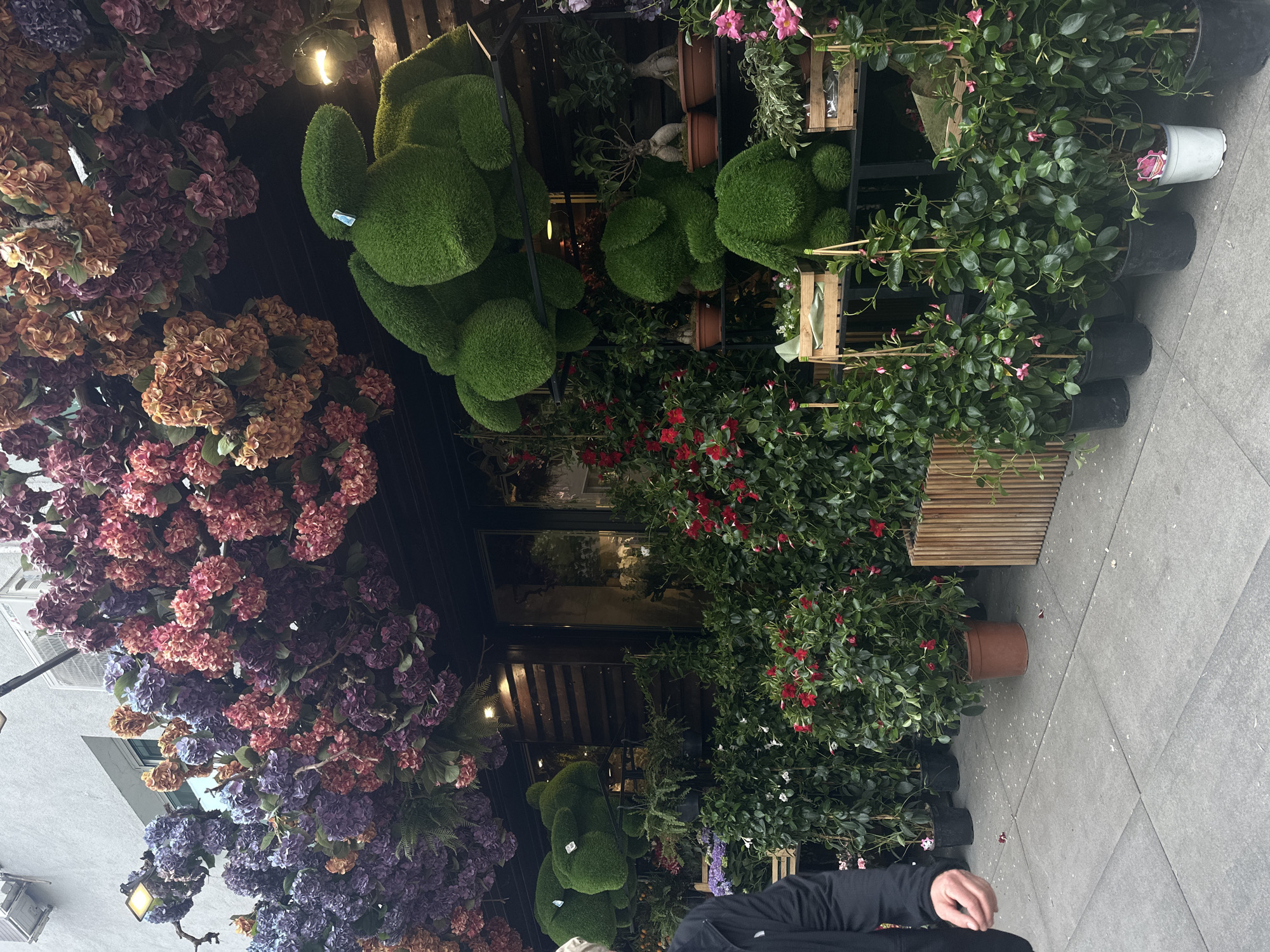 The image shows the exterior of a flower shop, likely in Sofia, Bulgaria, given the Eastern European architectural details. The facade is adorned with an abundance of flowers, predominantly hydrangeas in various shades of purple, pink, and brown. Green topiary sculptures shaped like bears are also visible. Potted plants with red and white flowers line the sidewalk outside the shop. A person wearing a black jacket is partially visible at the bottom of the image, likely a passerby or customer. A wooden bench is situated beside the potted plants. The scene is an urban environment with a street lamp in the background. The time of day appears to be daytime, with ambient light.