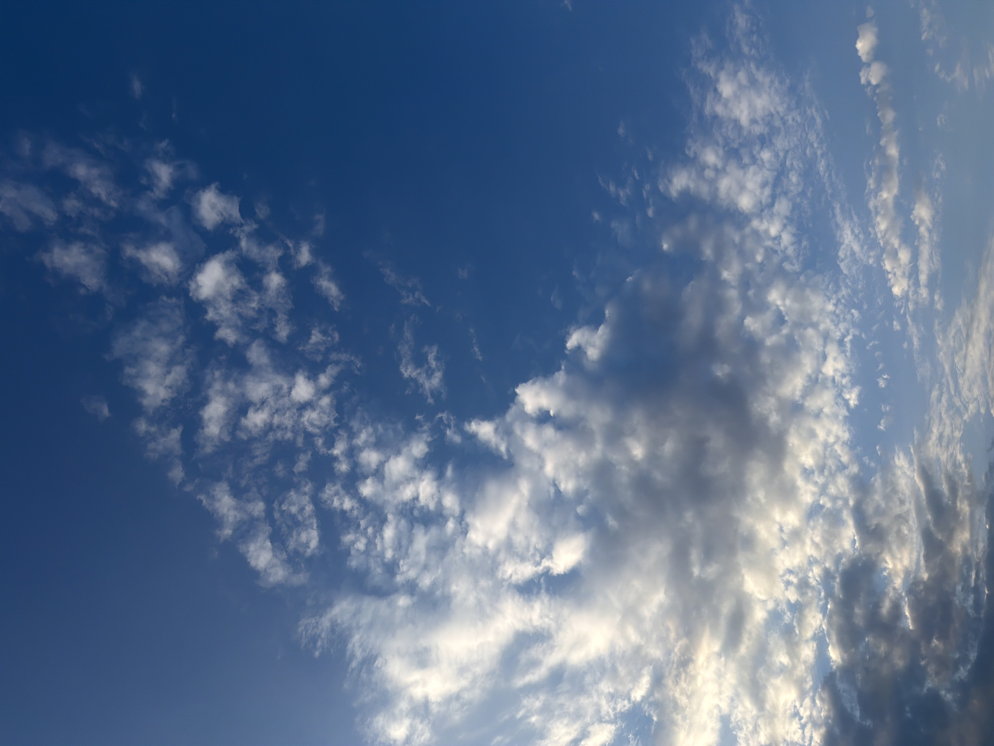 The image shows a vast, clear blue sky filled with various types of clouds. In the lower left portion of the image, larger, darker clouds are visible, some illuminated by sunlight, creating a sense of depth and texture. Scattered across the sky are numerous smaller, white, wispy clouds, some appearing as individual puffs and others forming streaks. The lighting suggests it is daytime, with sunlight filtering through and around the clouds. The scene is entirely natural, depicting an atmospheric condition. No urban elements, people, or specific landmarks are present, making the location indeterminate.