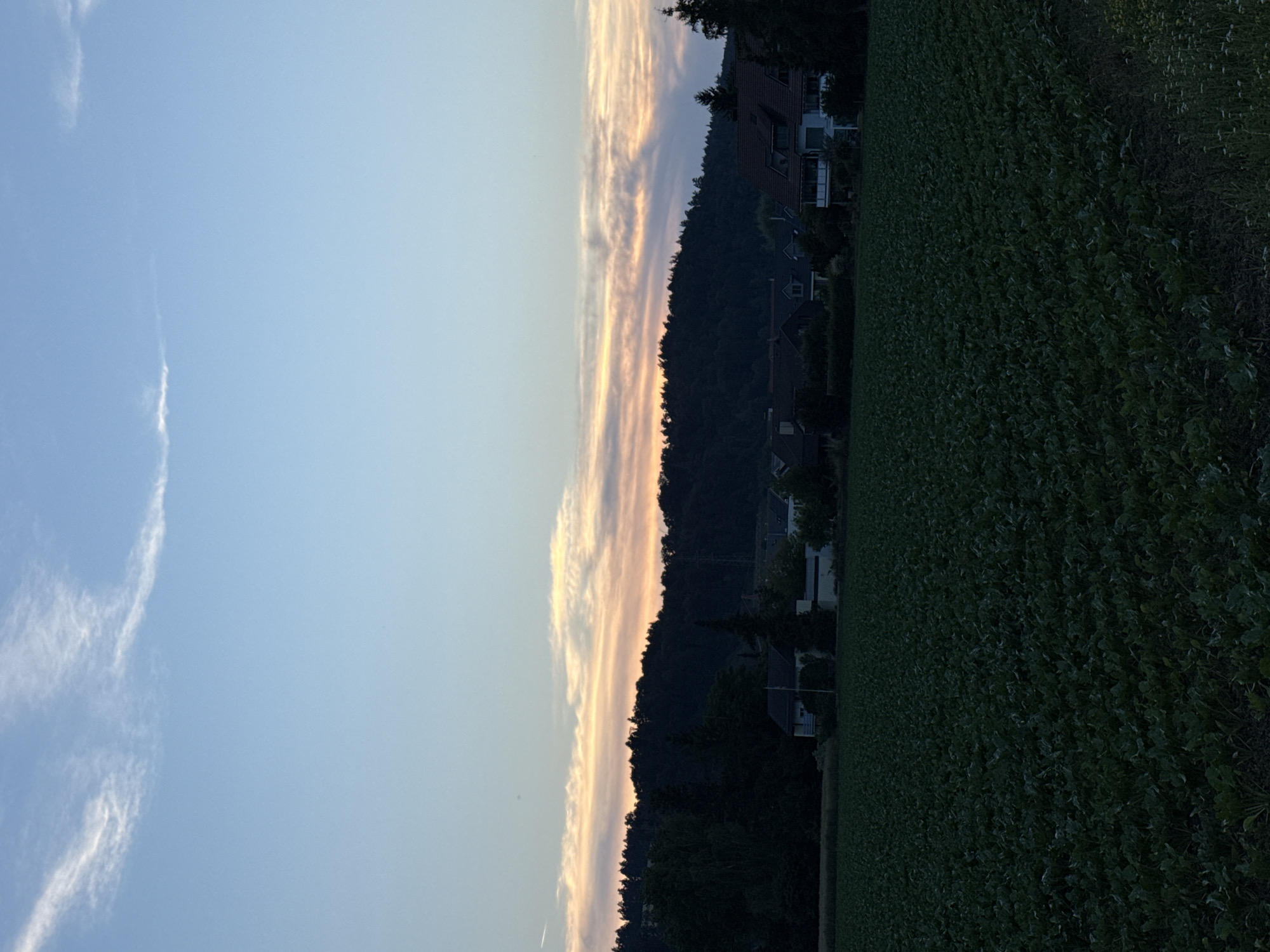 An outdoor, vertical, medium shot captures a rural landscape in Embrach, Switzerland, at dusk. In the foreground, a dark field of crops, possibly beet plants, occupies the lower half of the frame. The middle ground features a dark, wooded hillside with a scattering of buildings partially visible behind trees. A cluster of houses and other structures are situated to the right, with one prominent white building with a balcony. The background is dominated by a pale blue sky, transitioning to warmer hues of pink and orange near the horizon, where wispy clouds are present. The overall atmosphere is serene and peaceful.