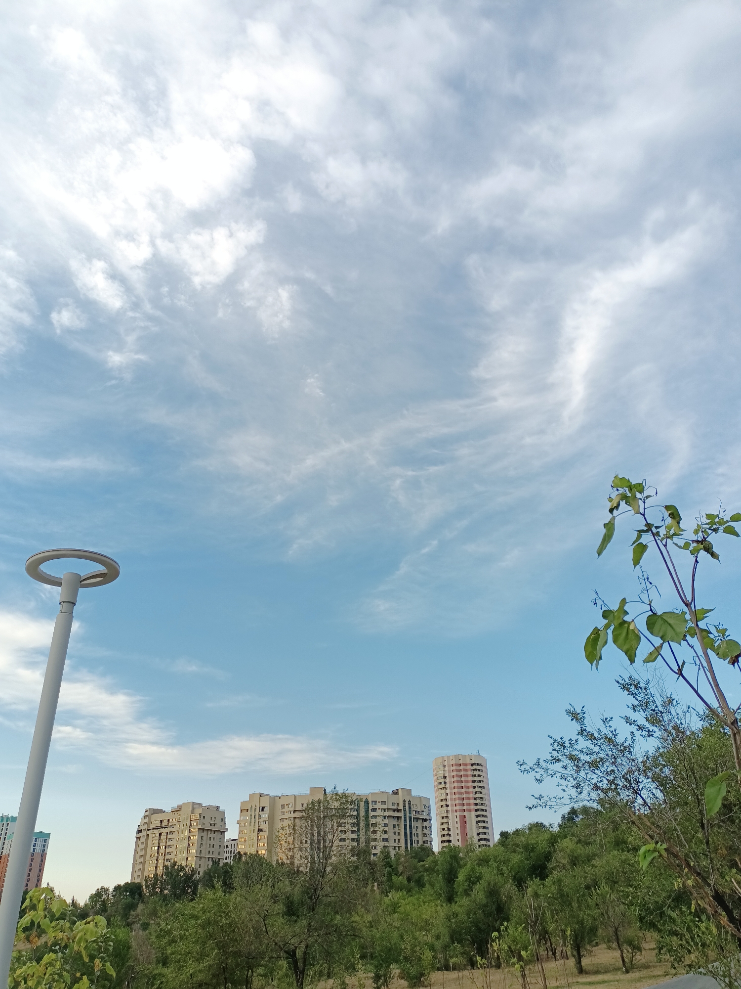 The image depicts a city park in Almaty, Kazakhstan, under a sky filled with wispy cirrus clouds. In the foreground, a modern lamppost with a circular light fixture stands on the left. A tree with green leaves is visible on the right side of the frame, extending from the lower right corner towards the center. In the middle ground, a dense line of trees forms a green barrier. Beyond the trees, several apartment buildings are visible. The buildings are of varying heights and architectural styles, with some appearing to be older Soviet-era constructions and others more modern. The sky transitions from a pale blue at the horizon to a lighter blue towards the top of the image, with the clouds creating a textured pattern. The overall scene conveys a peaceful urban landscape during daylight hours.