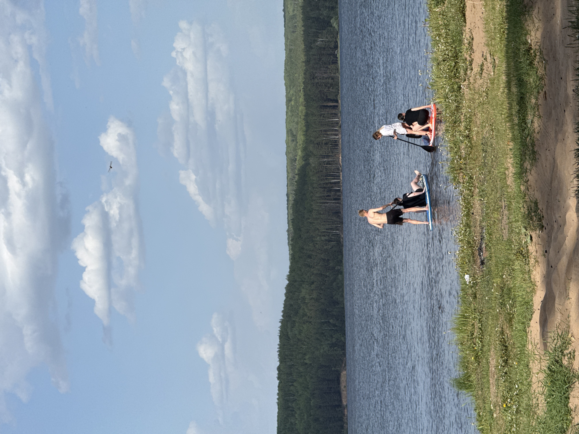 Two individuals are paddleboarding on a body of water adjacent to a sandy bank with grassy vegetation. One individual is standing on a blue paddleboard, while two people share an orange board. A forest lines the opposite shore. The sky is light blue with scattered clouds. A bird or insect is visible in the sky. This image likely depicts a scene at a lake or river in Chaikovsky, Russia.